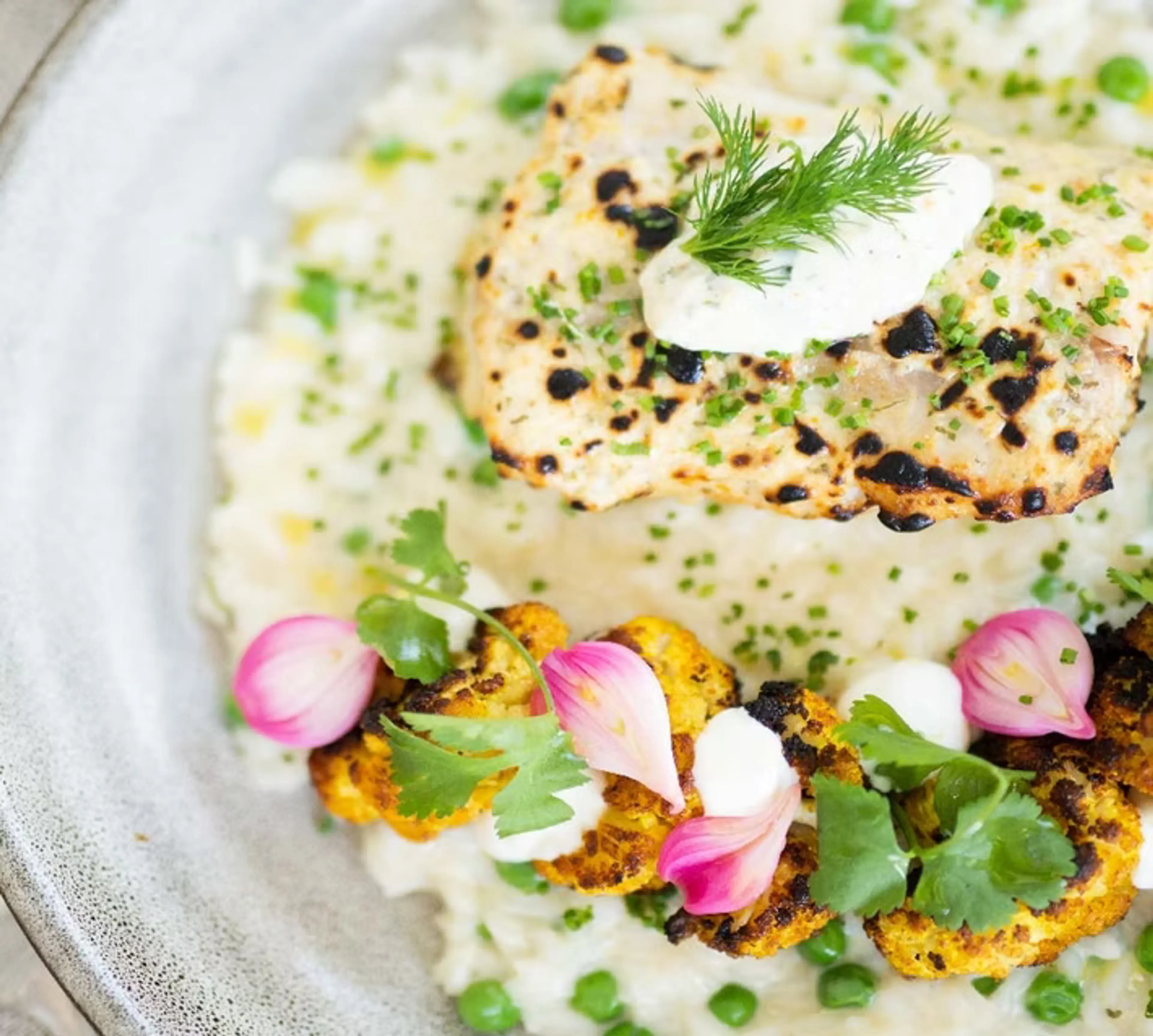 Grilled fish fillet with cream and dill on risotto with peas, roasted cauliflower, pink flower petals, and cilantro on a gray plate.