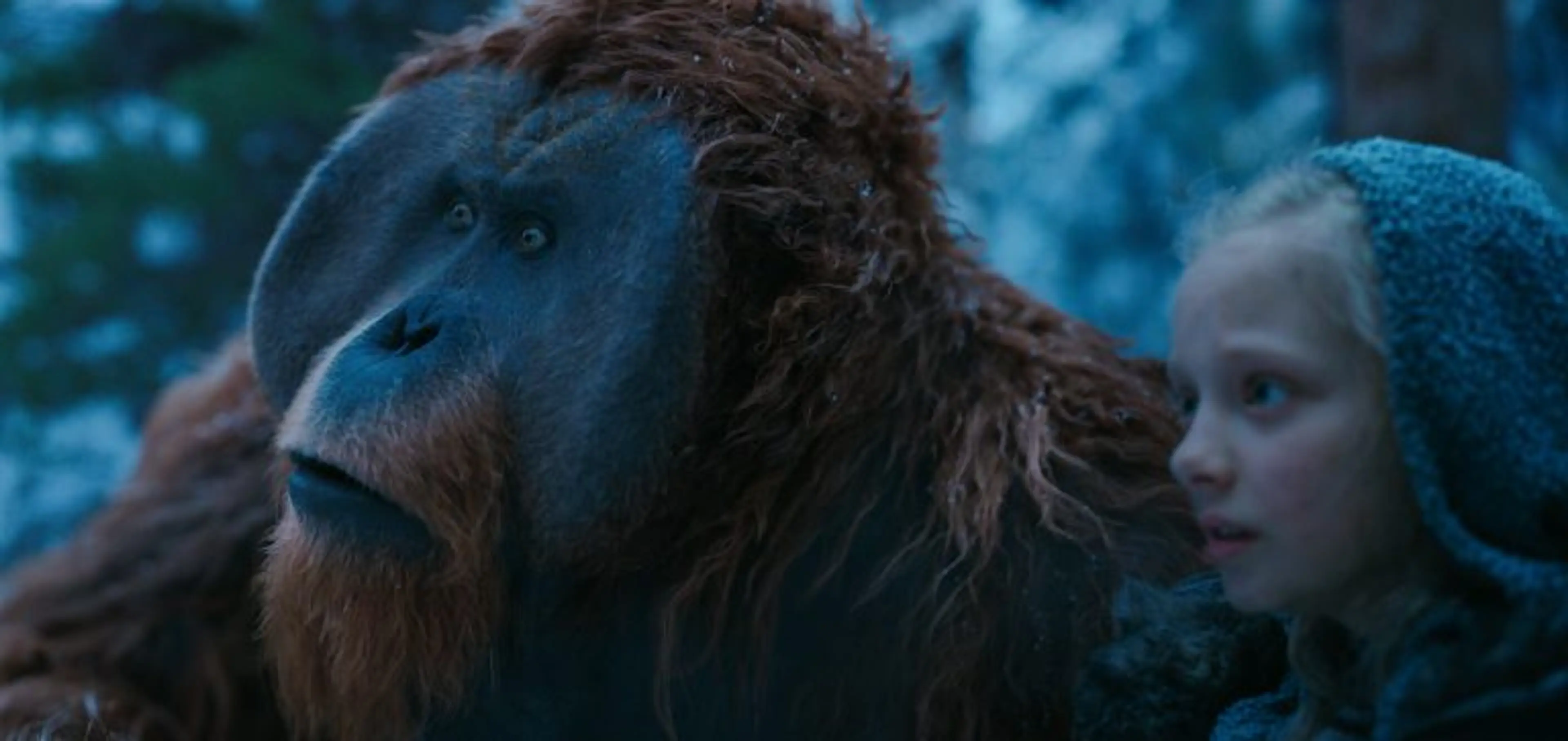 Vancouver actor Karin Konoval learns from orangutans for her Planet of the Apes role