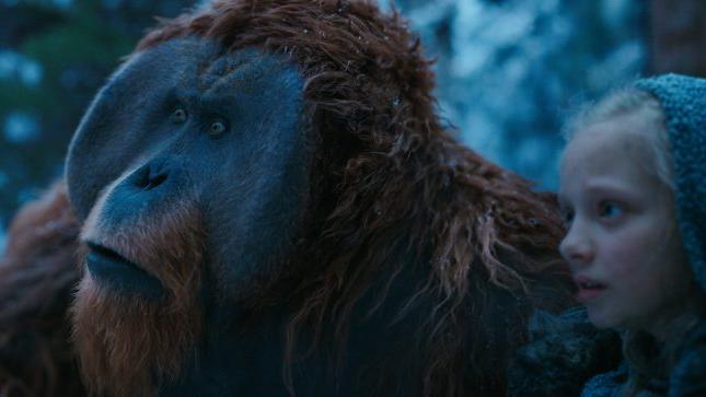 Vancouver actor Karin Konoval learns from orangutans for her Planet of the Apes role