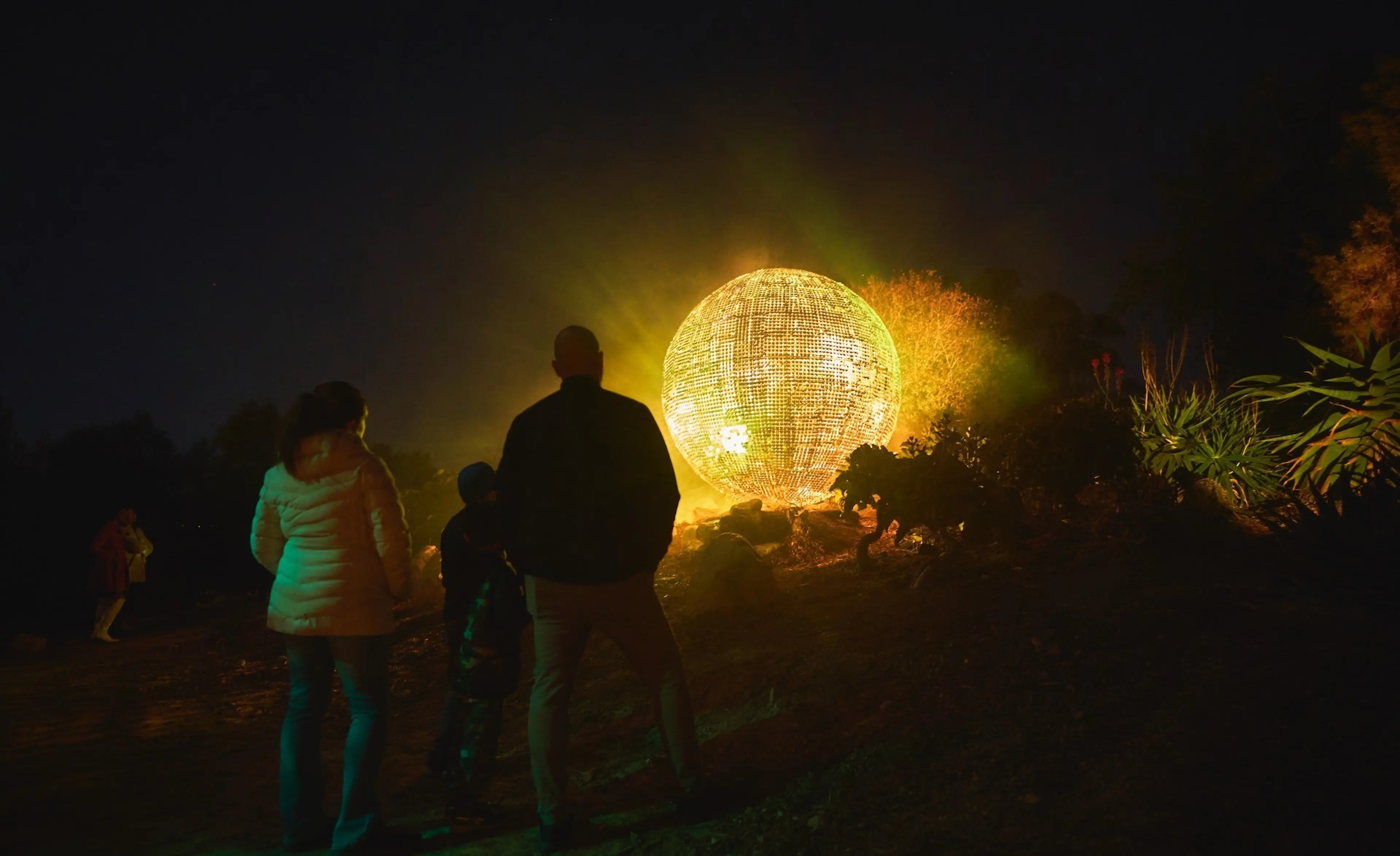 Three people standing outdoors at night looking at a large glowing spherical light installation surrounded by plants.