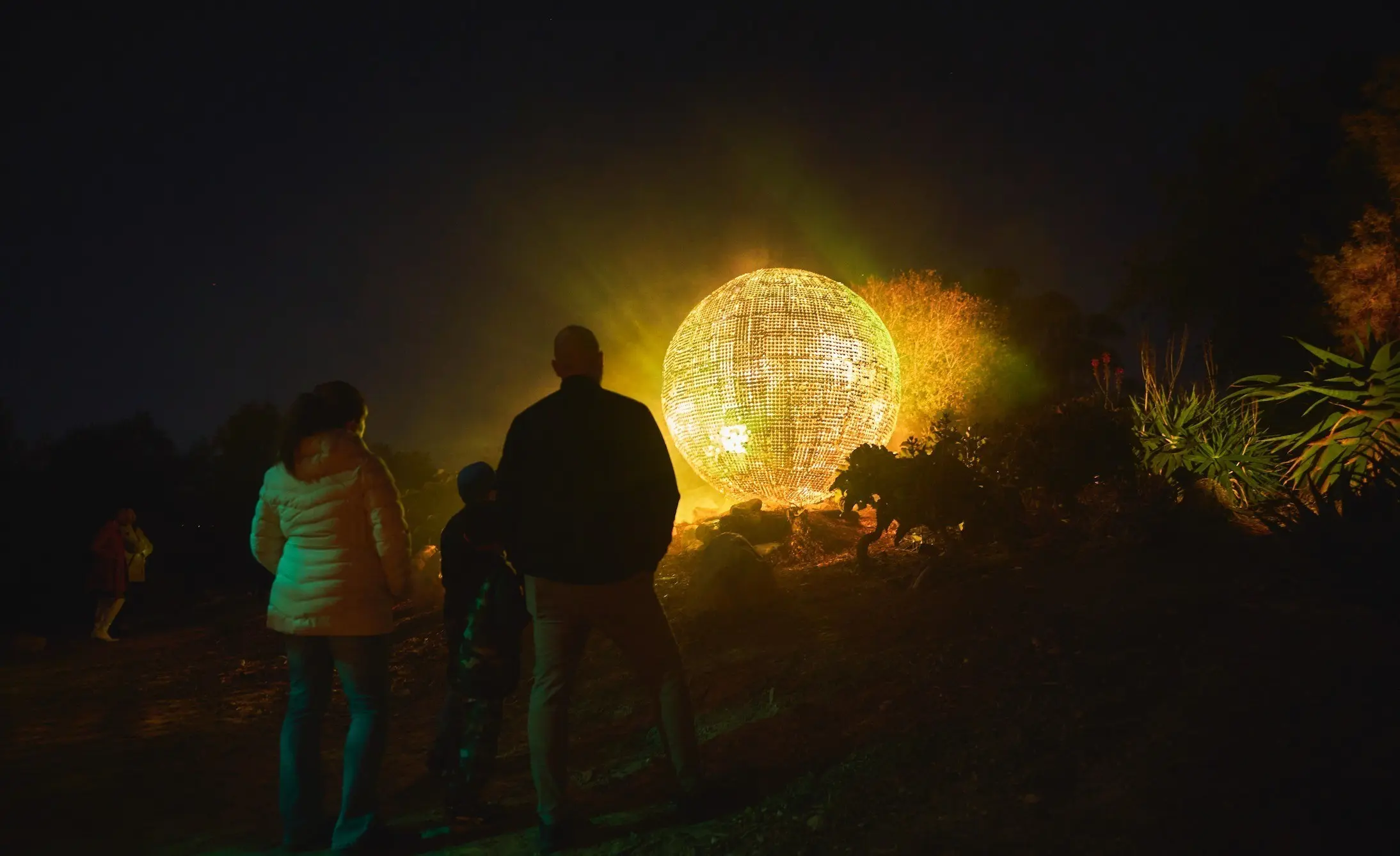 Three people standing outdoors at night looking at a large glowing spherical light installation surrounded by plants.