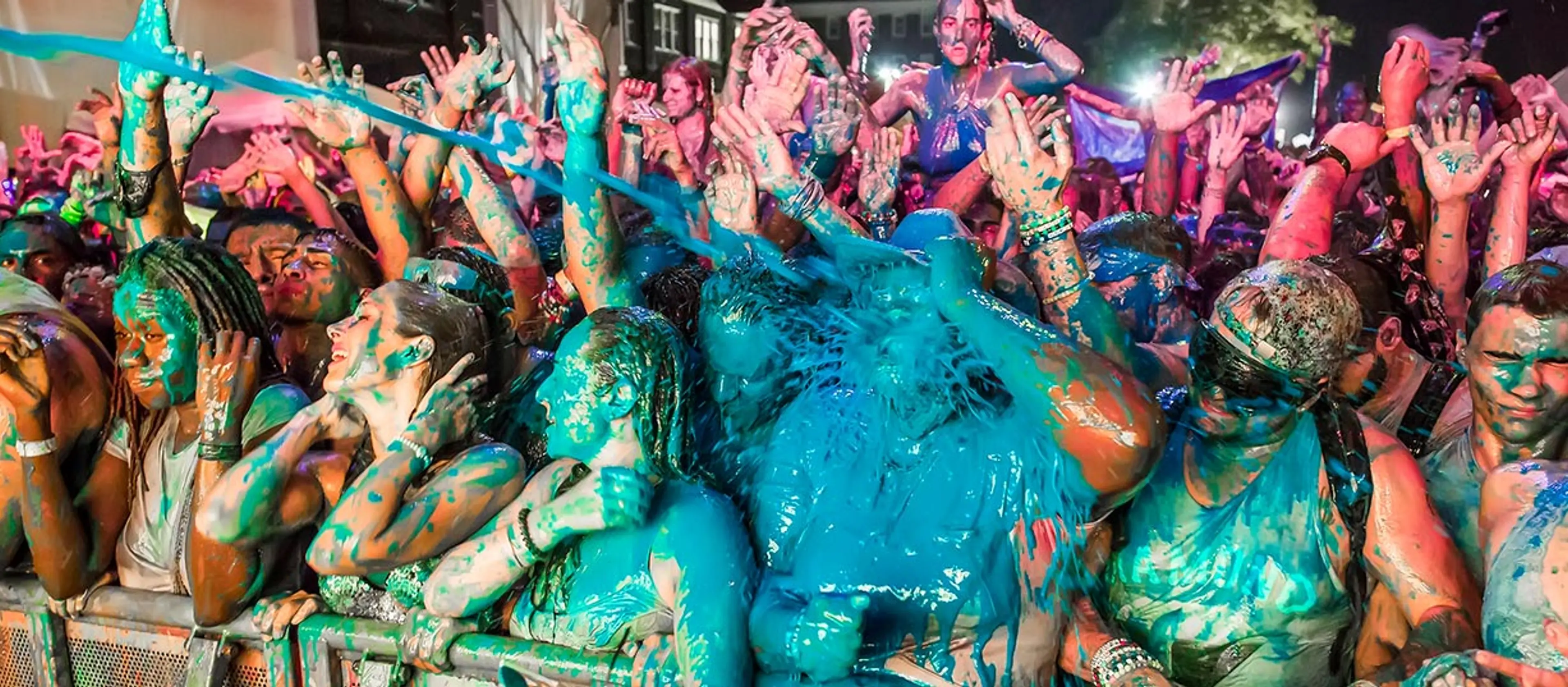 Life In Colour - Kingdom