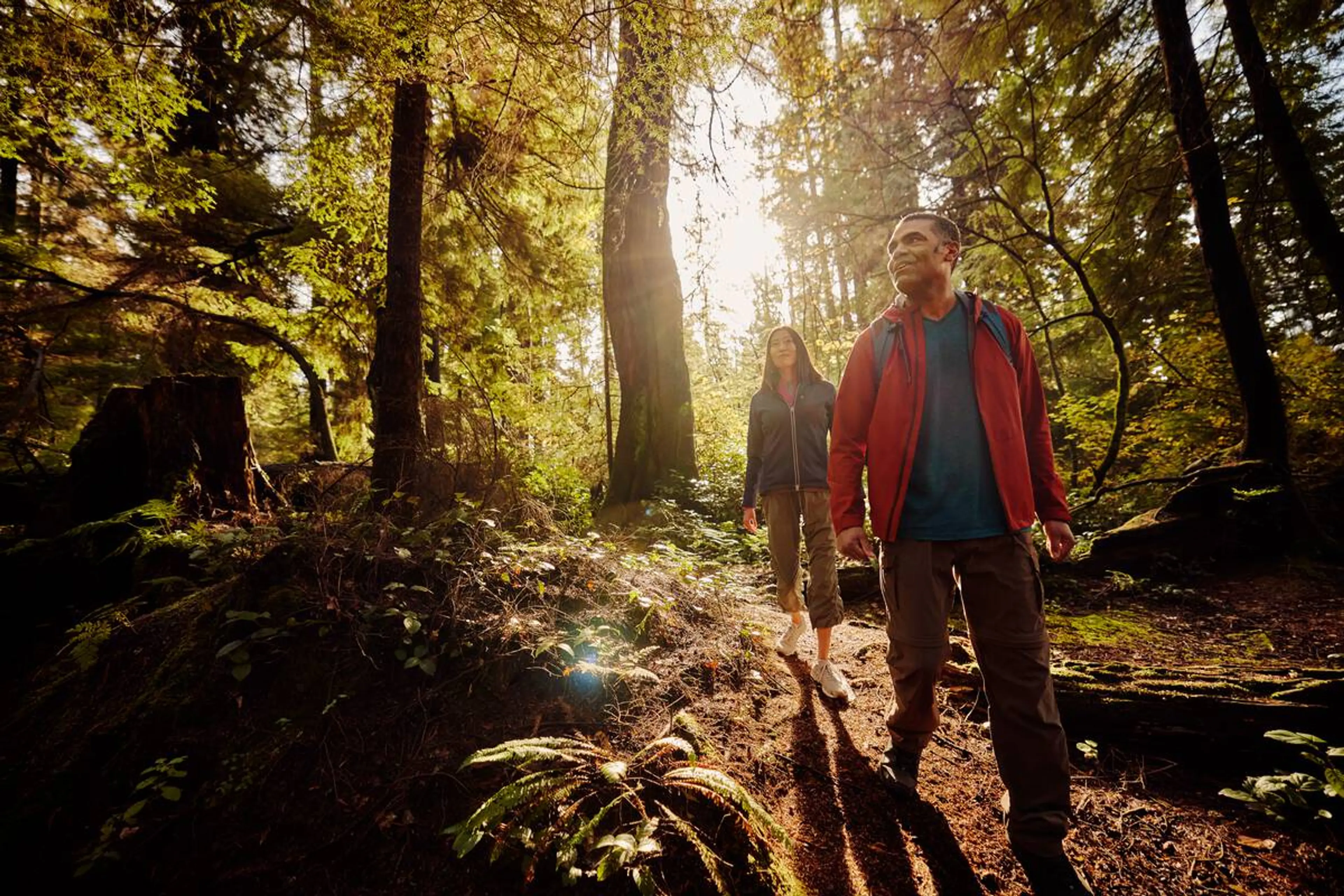Relax and Rejuvenate with Forest Bathing in Vancouver