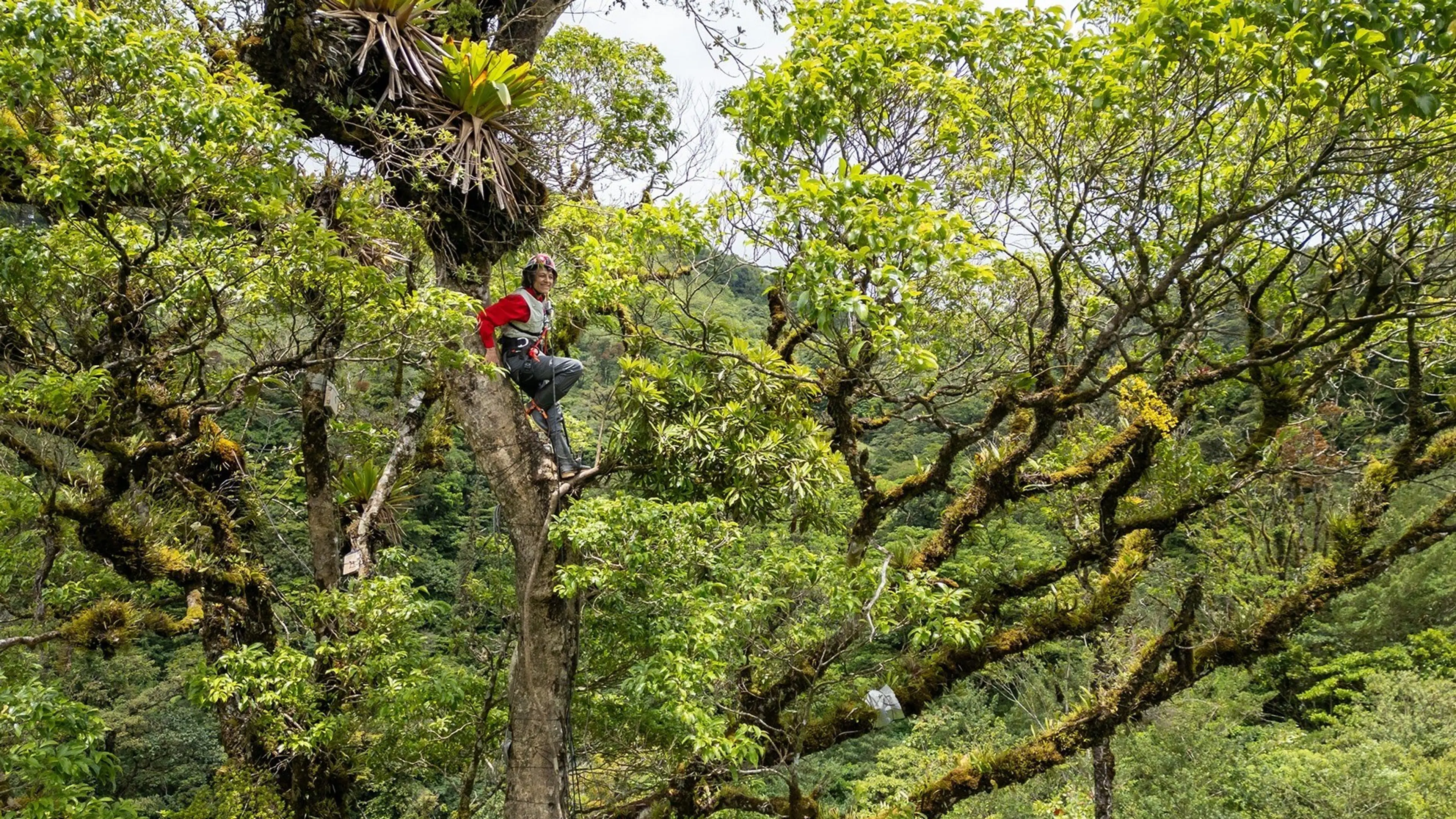 w-1820h-1023-7c2cd4-canopy-promo2-1820x1140