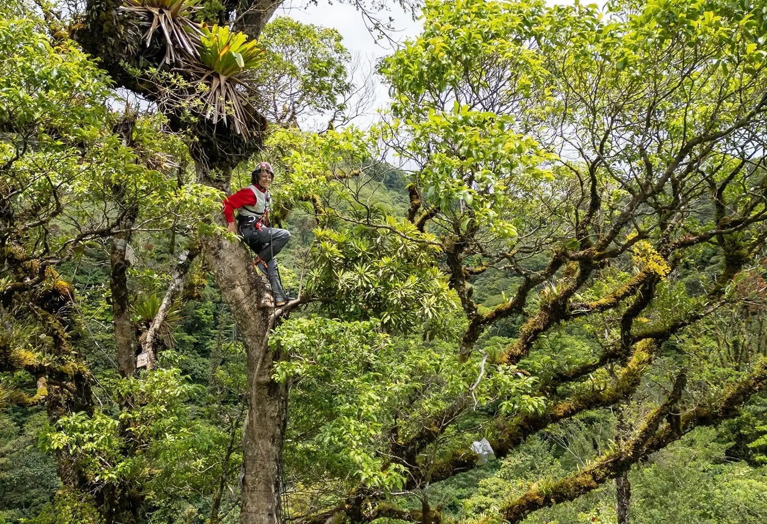 w-1820h-1023-7c2cd4-canopy-promo2-1820x1140