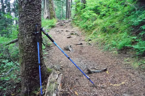 Hike St Marks Discover Outdoors6