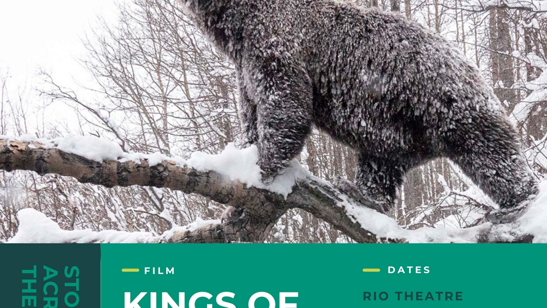 Kings of the North VIMFF Fall Series promo poster