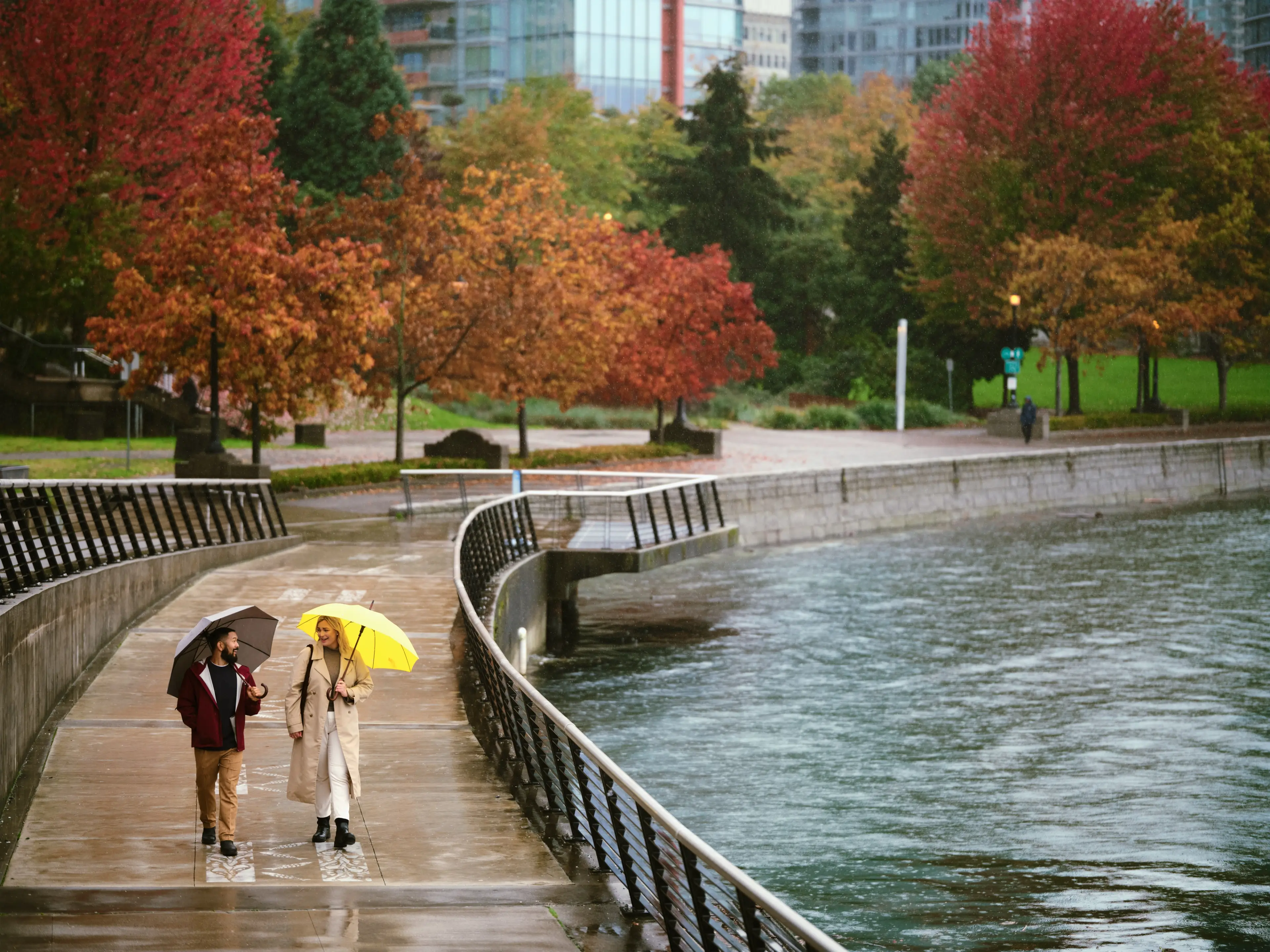 Two people walking with umbrellas in Coal Harbour surrounded by fall colours.