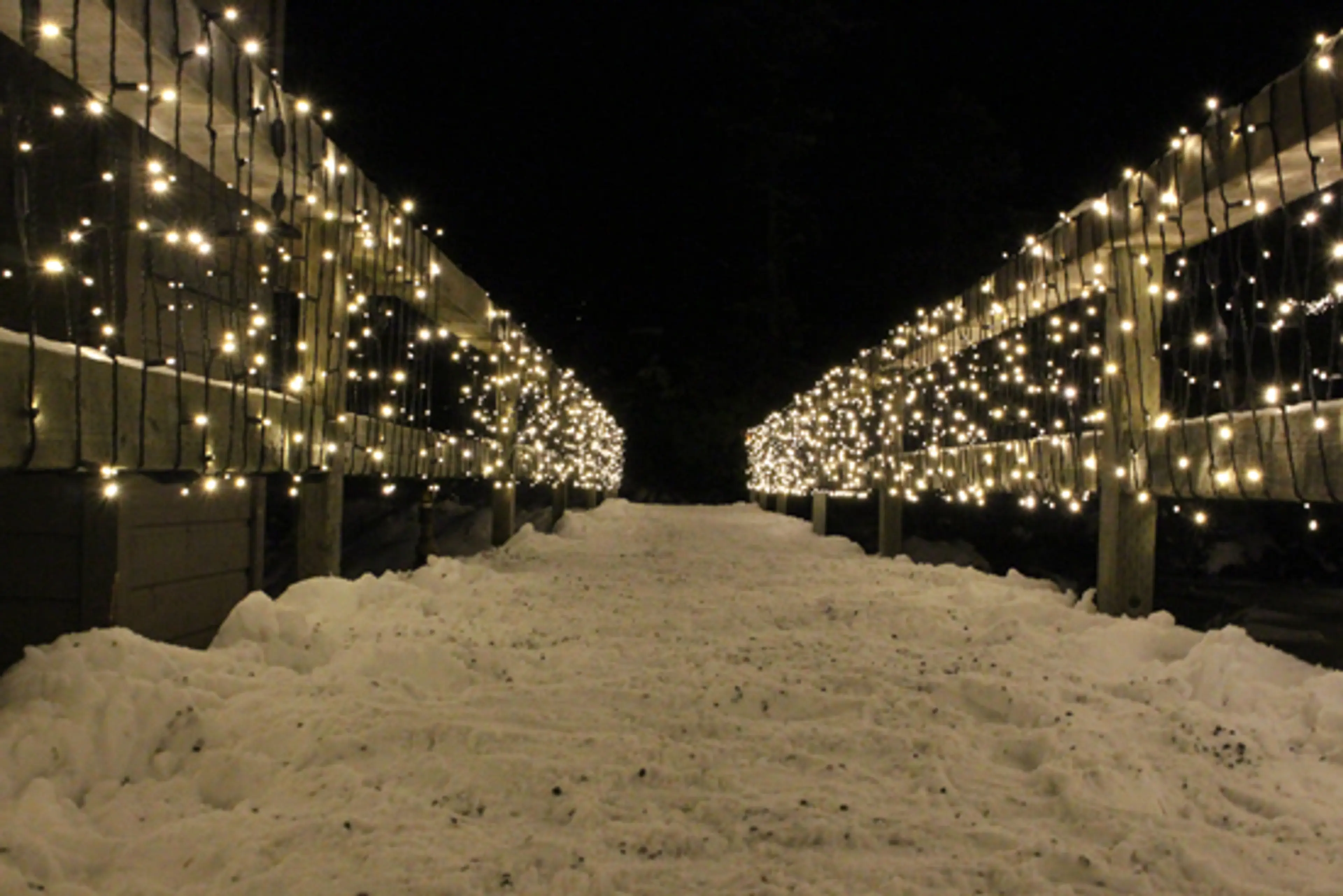 Snow Days in Vancouver