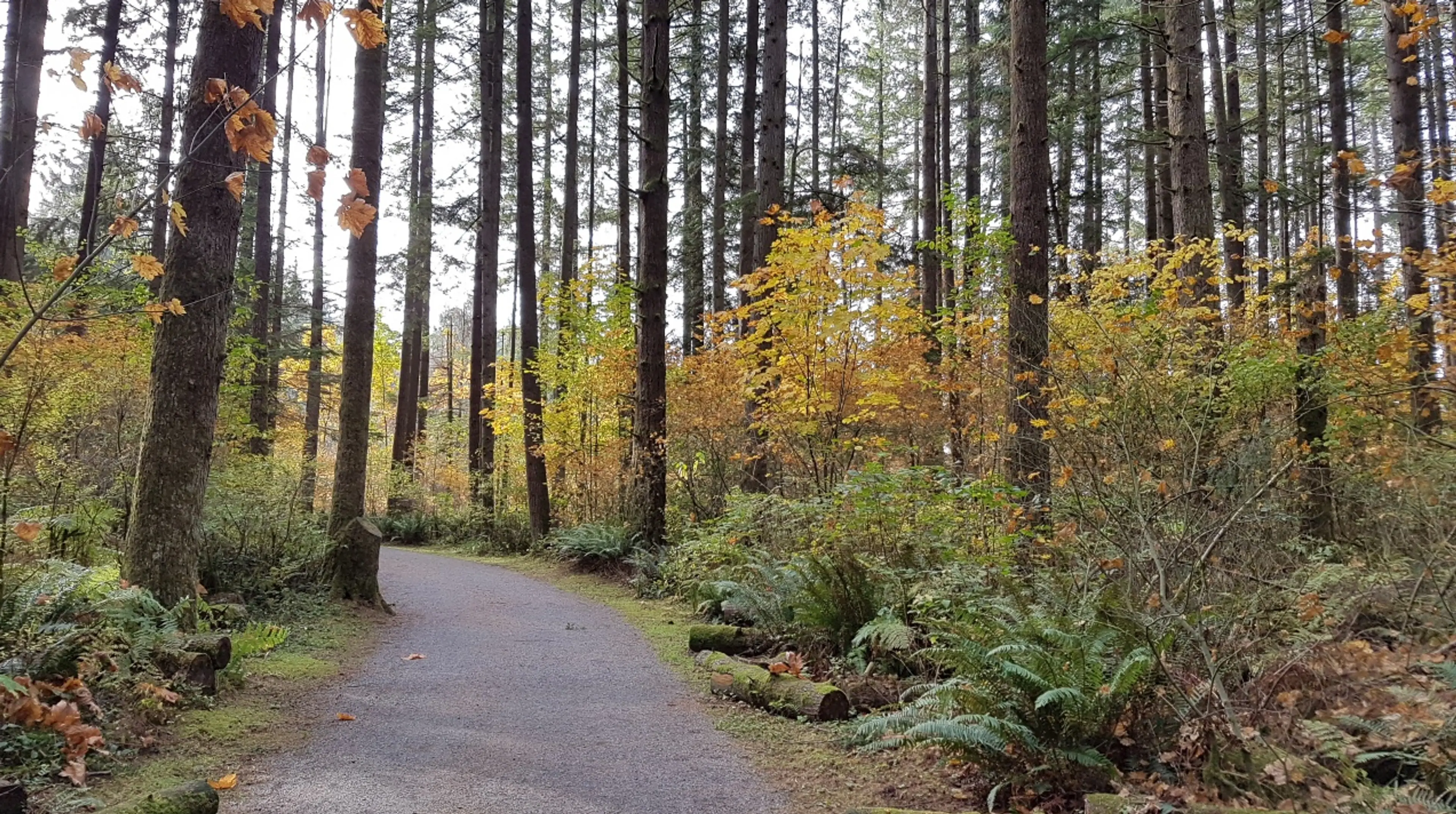 Houston Trail in Derby Reach Regional Park