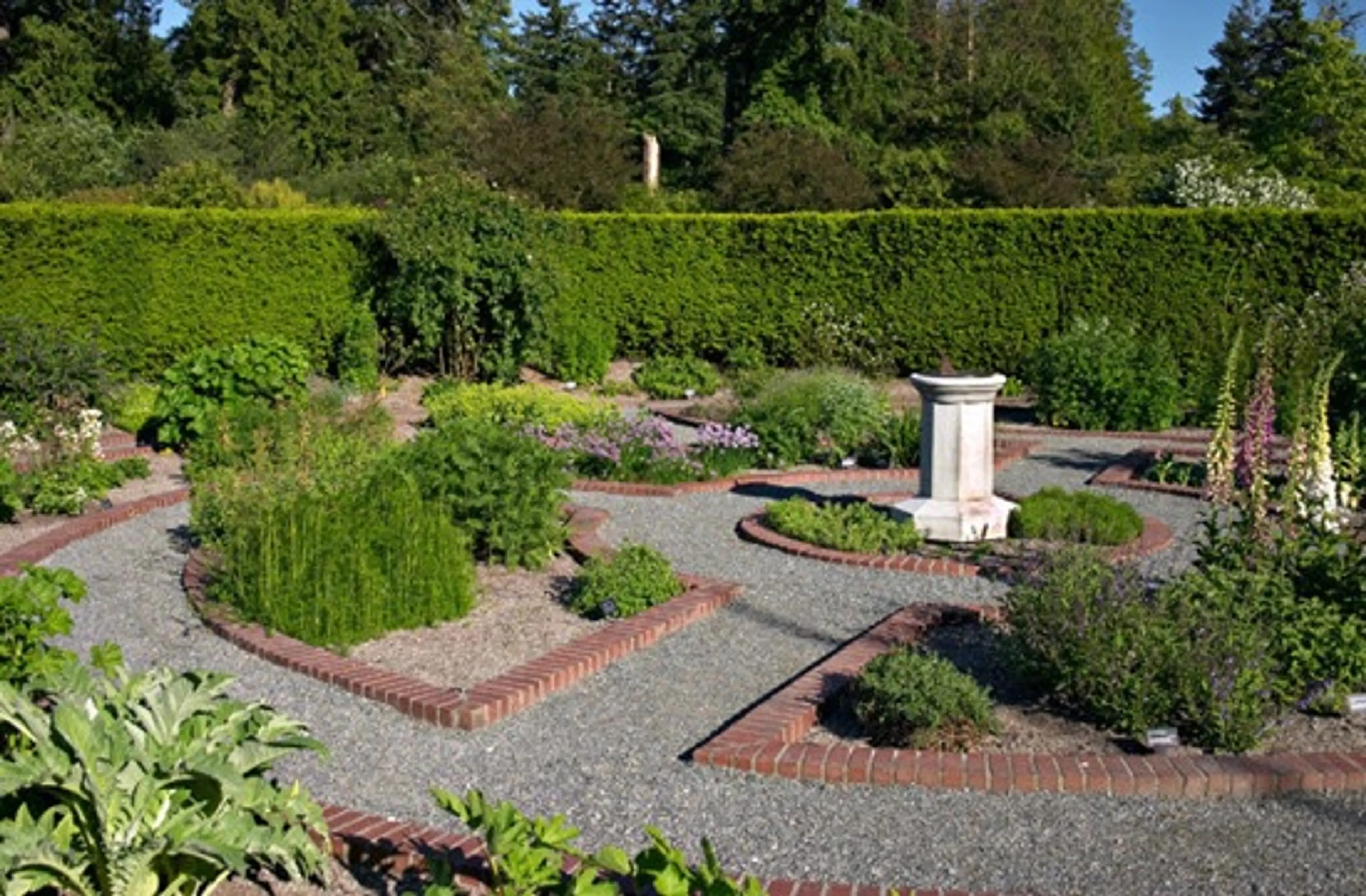 The Physics Garden; Sourced from the UBC Botanical Garden Facebook page