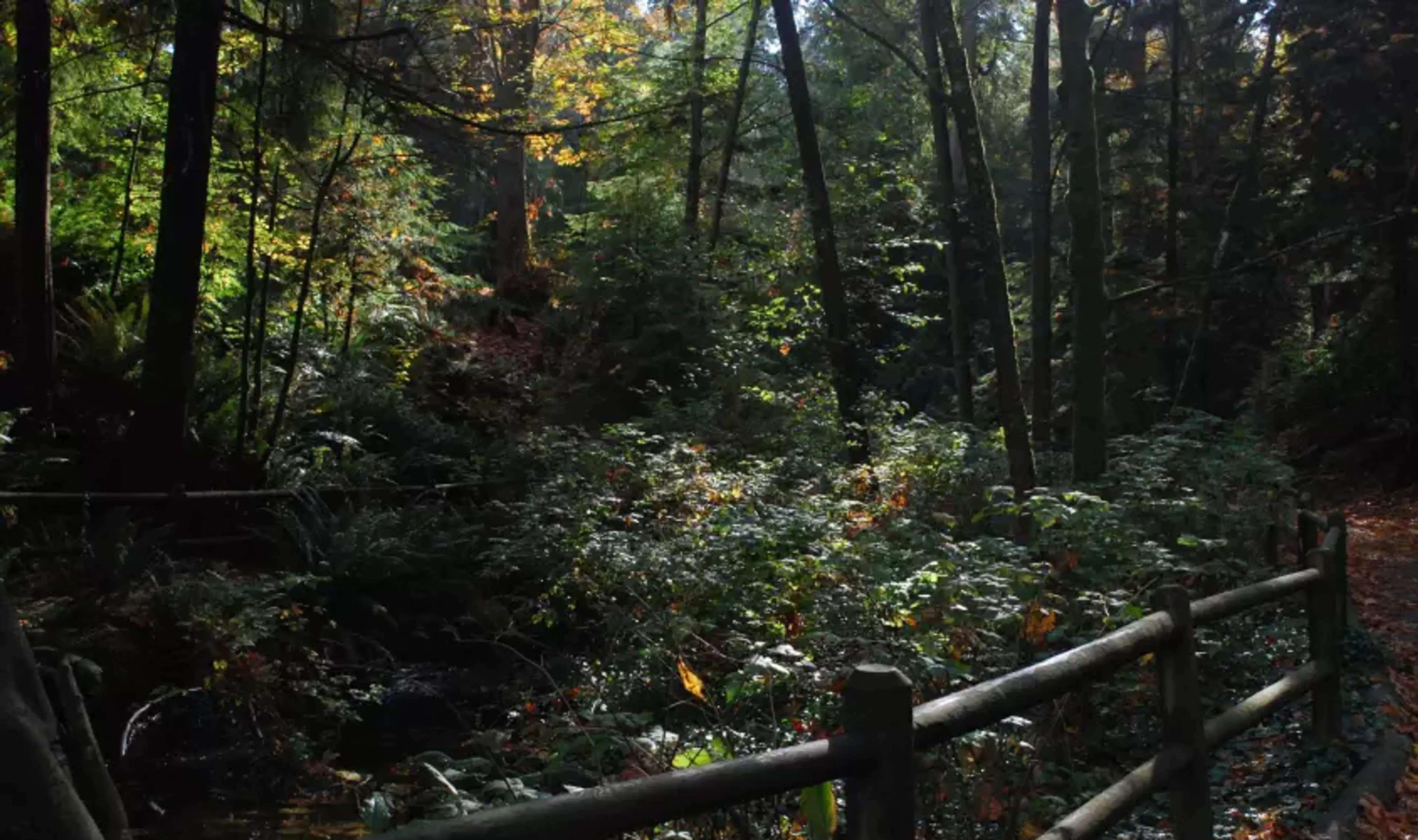 Three Box Office Blockbusters Filmed in Vancouver