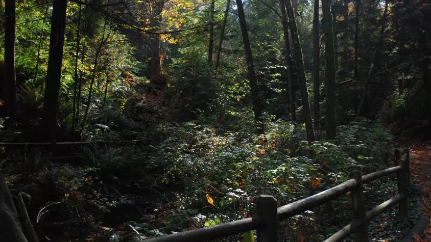 Three Box Office Blockbusters Filmed in Vancouver