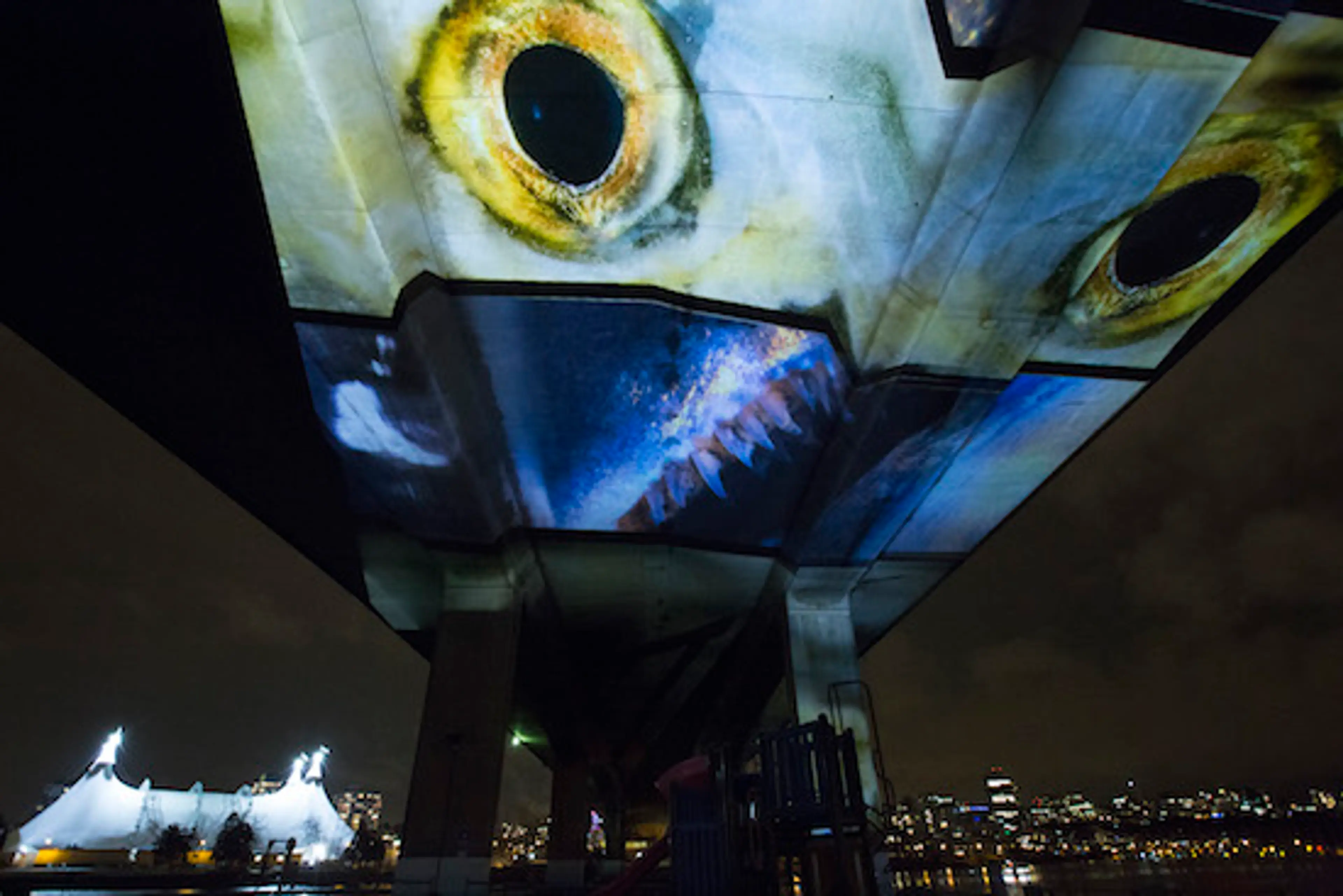 Uninterrupted turns concrete bridge into a projection screen for salmon run