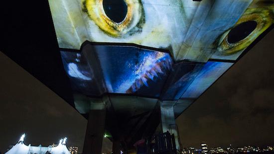 Uninterrupted turns concrete bridge into a projection screen for salmon run