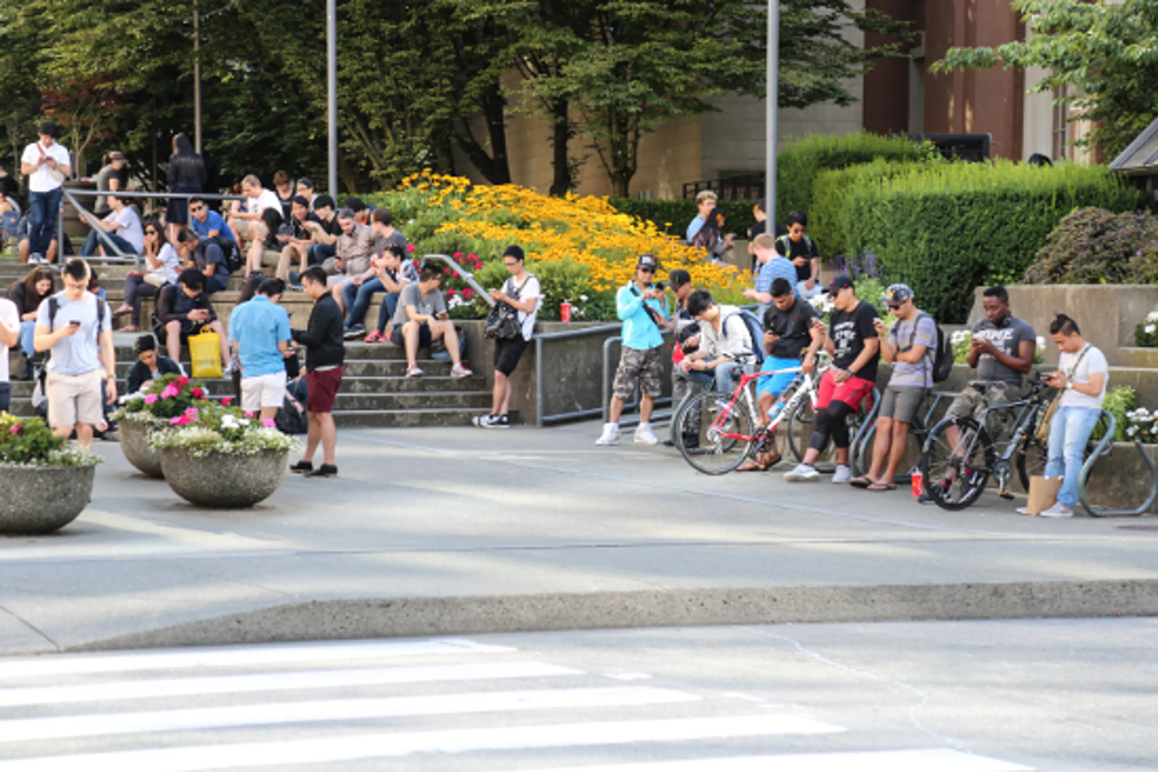 Pokémon Go devotees congregate across the street from Waterfront Centre between Pokémon Go Lure spots. 