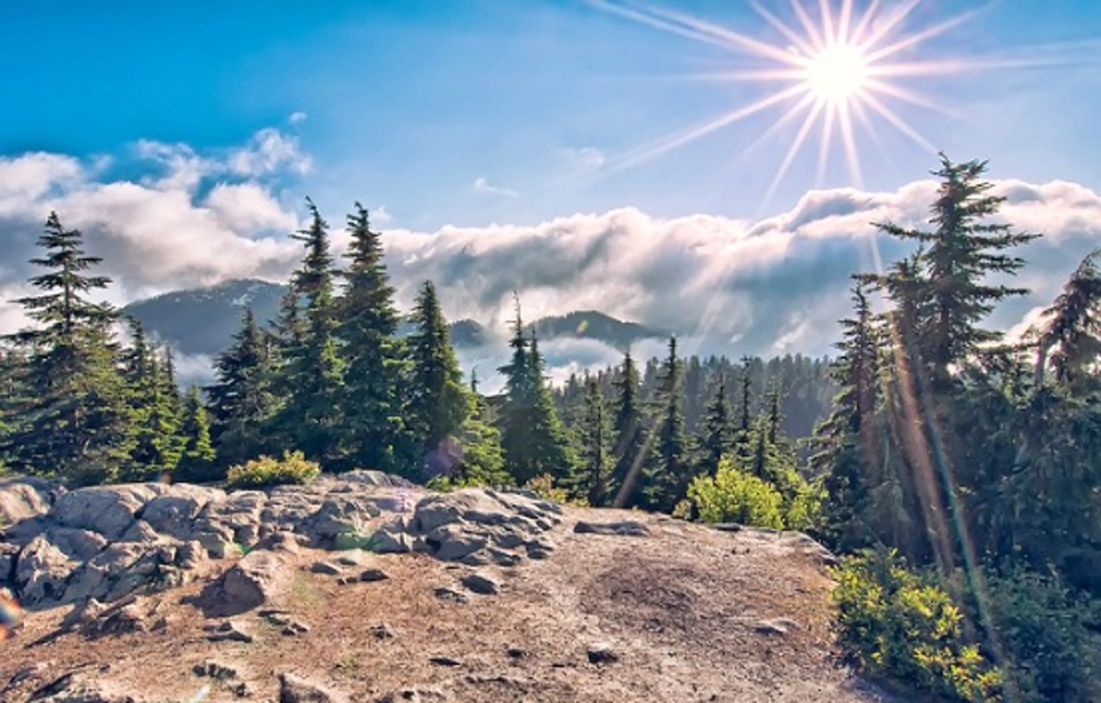 Kids In Vancouver: A Local Family’s Summer Bucket List