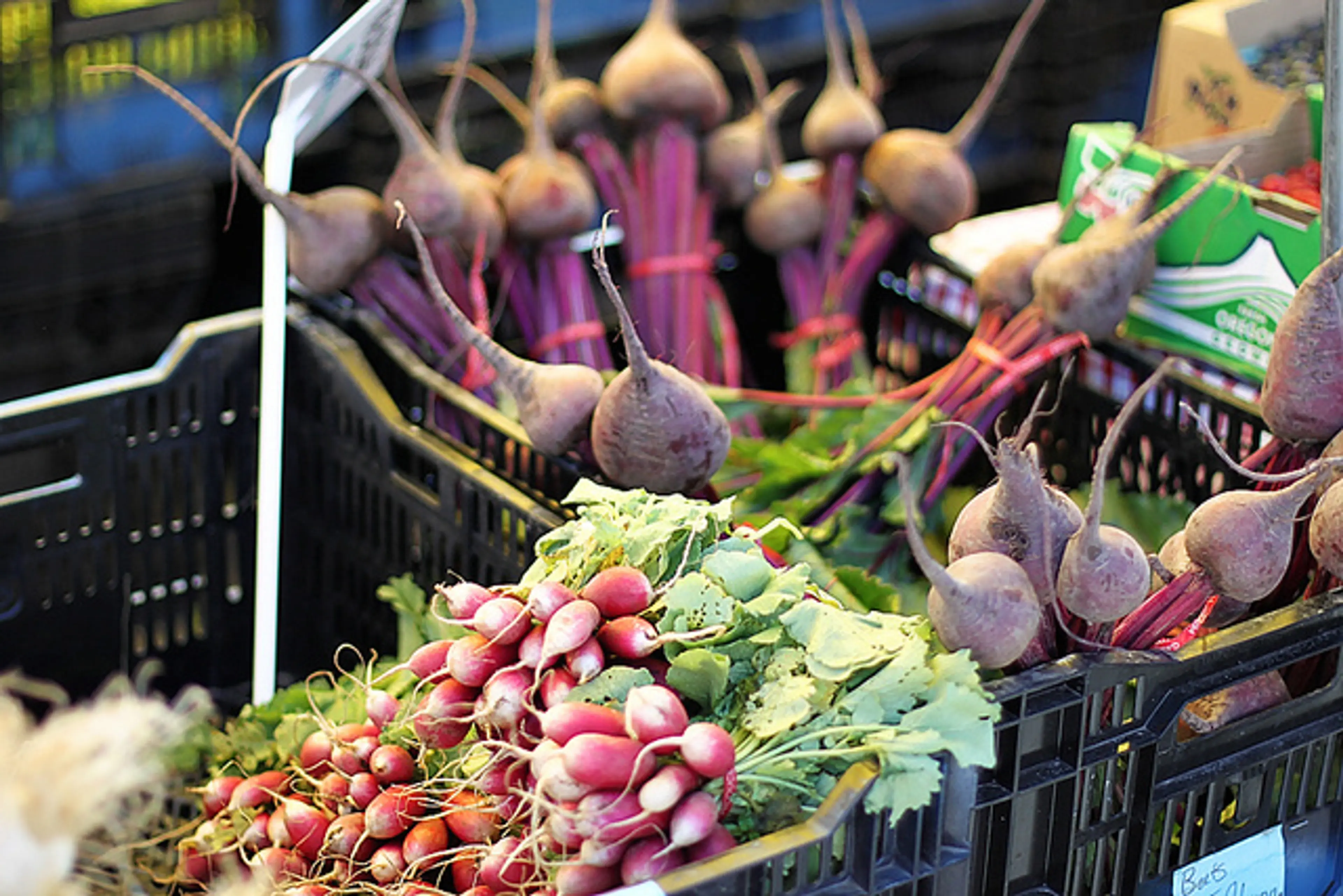 5 reasons to visit the Vancouver Farmers Market during the Winter