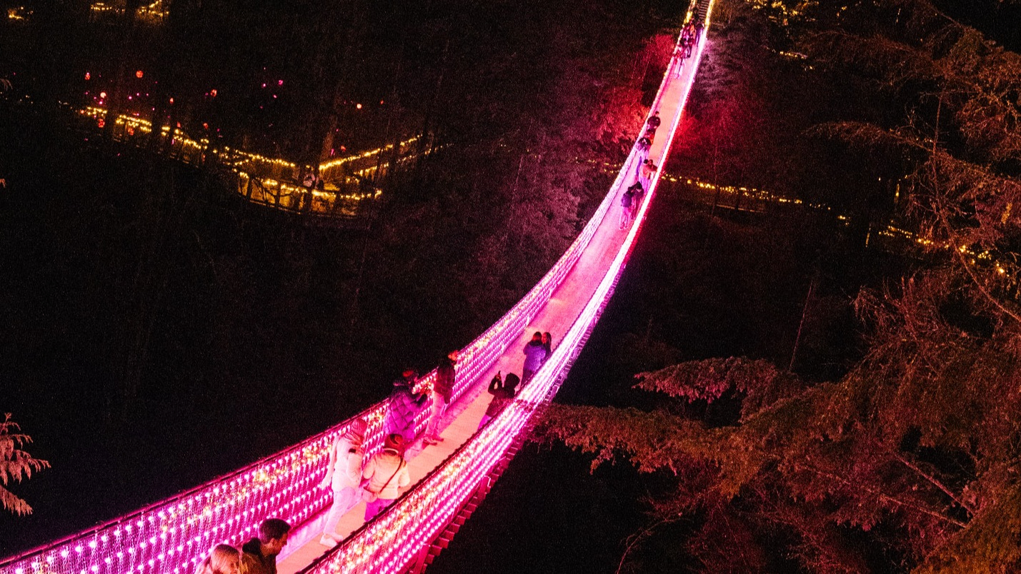 w-1429h-804-36376d-Vertical of CapBridge during Love Lights