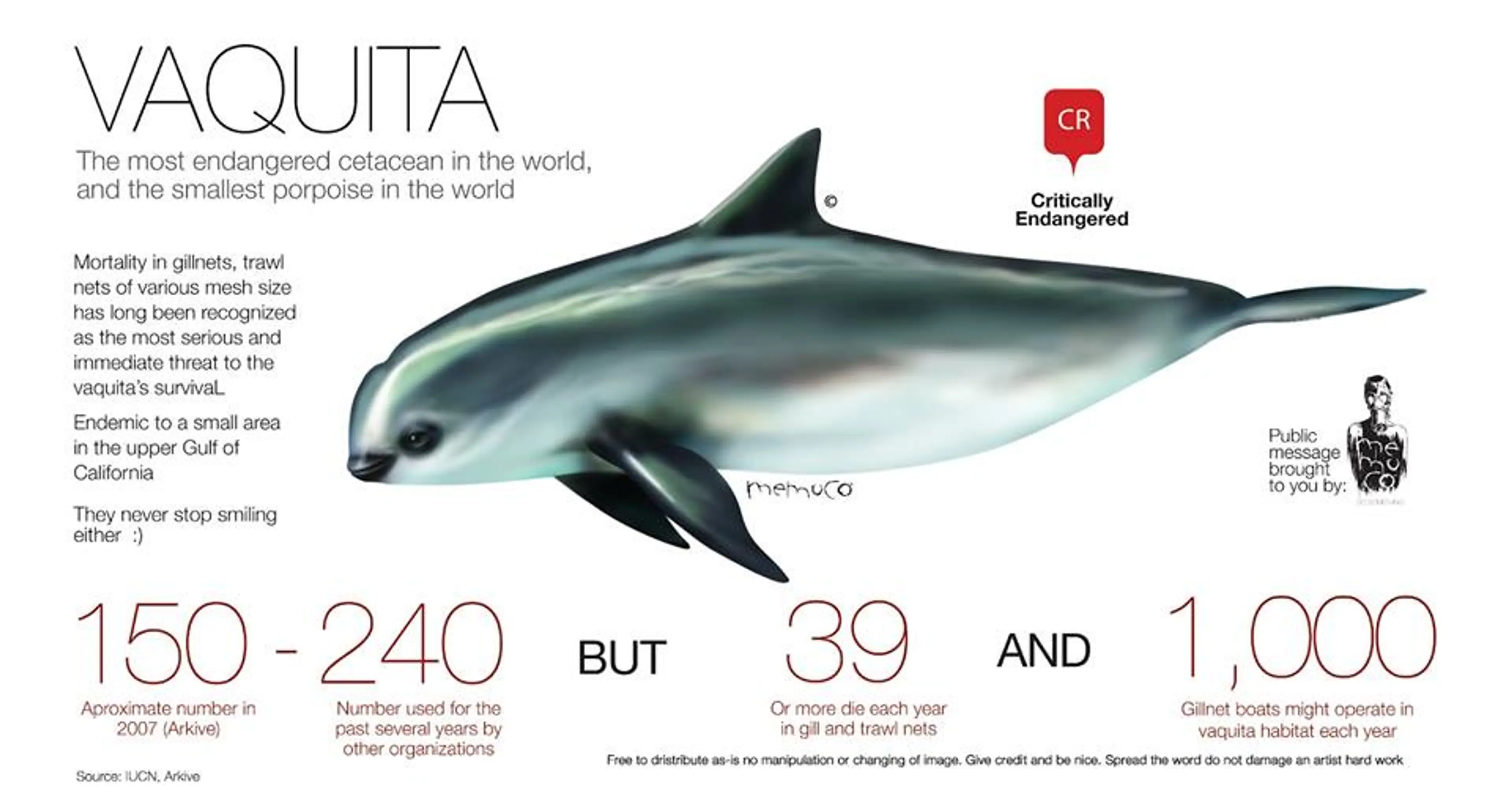 vaquita