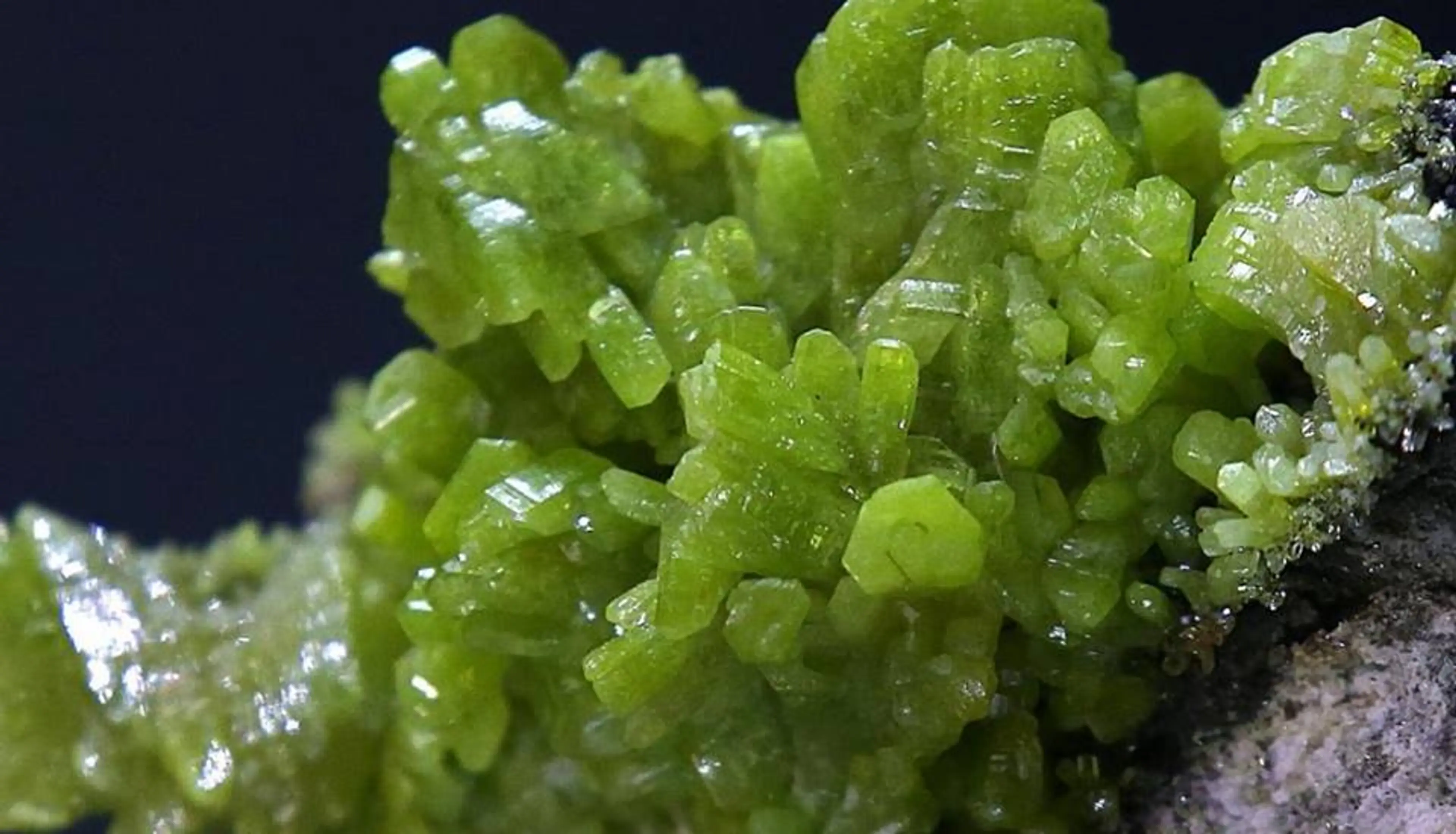 Vancouver Gem and Mineral Show