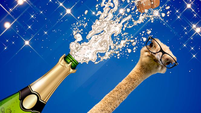 Five unusual ways to spend New Year’s Eve