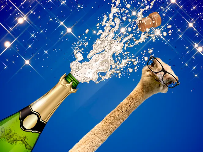 Five unusual ways to spend New Year’s Eve