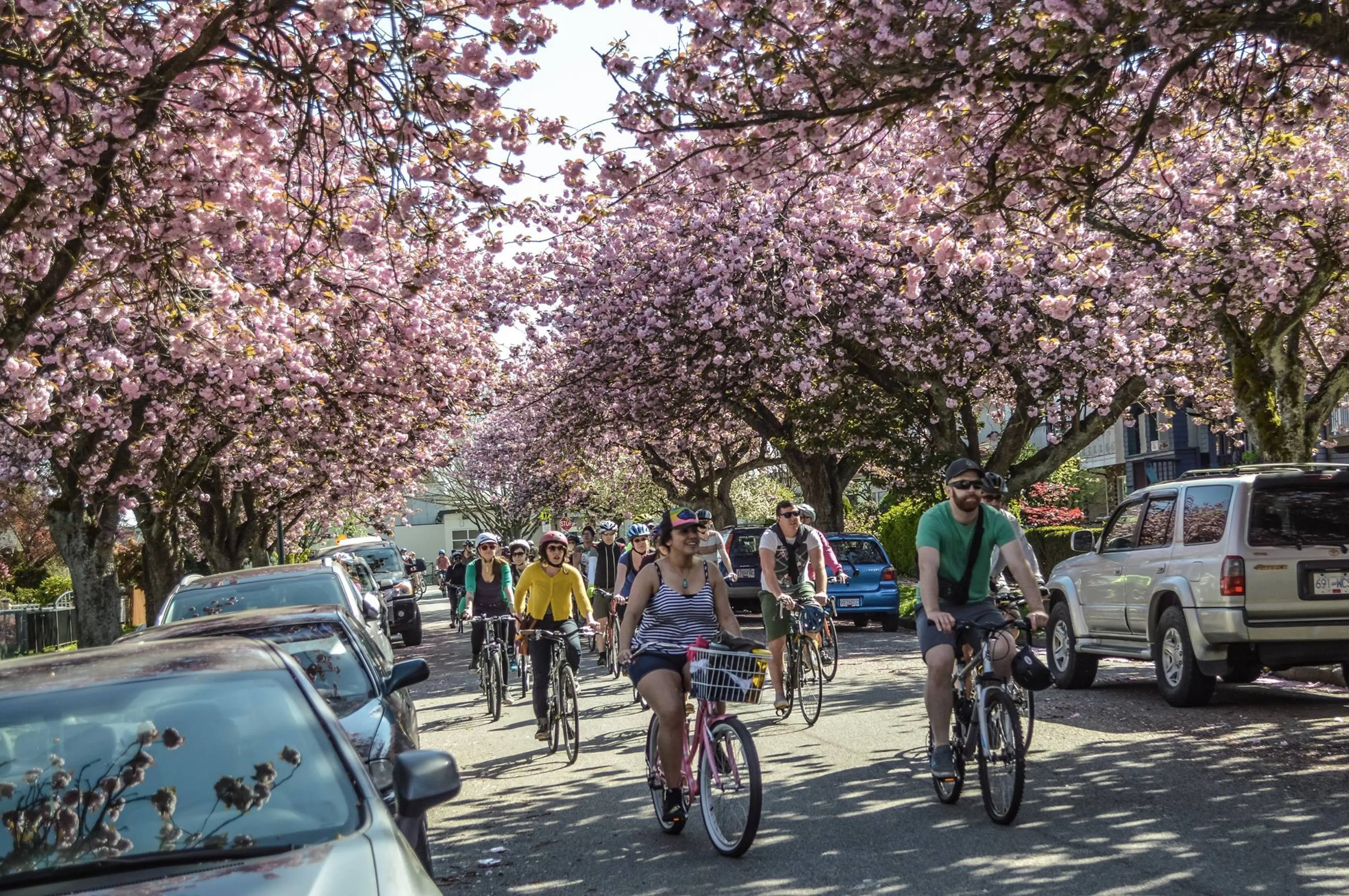 Bike the Blossoms 2017