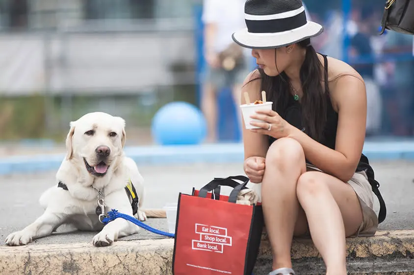 A Dog's Way