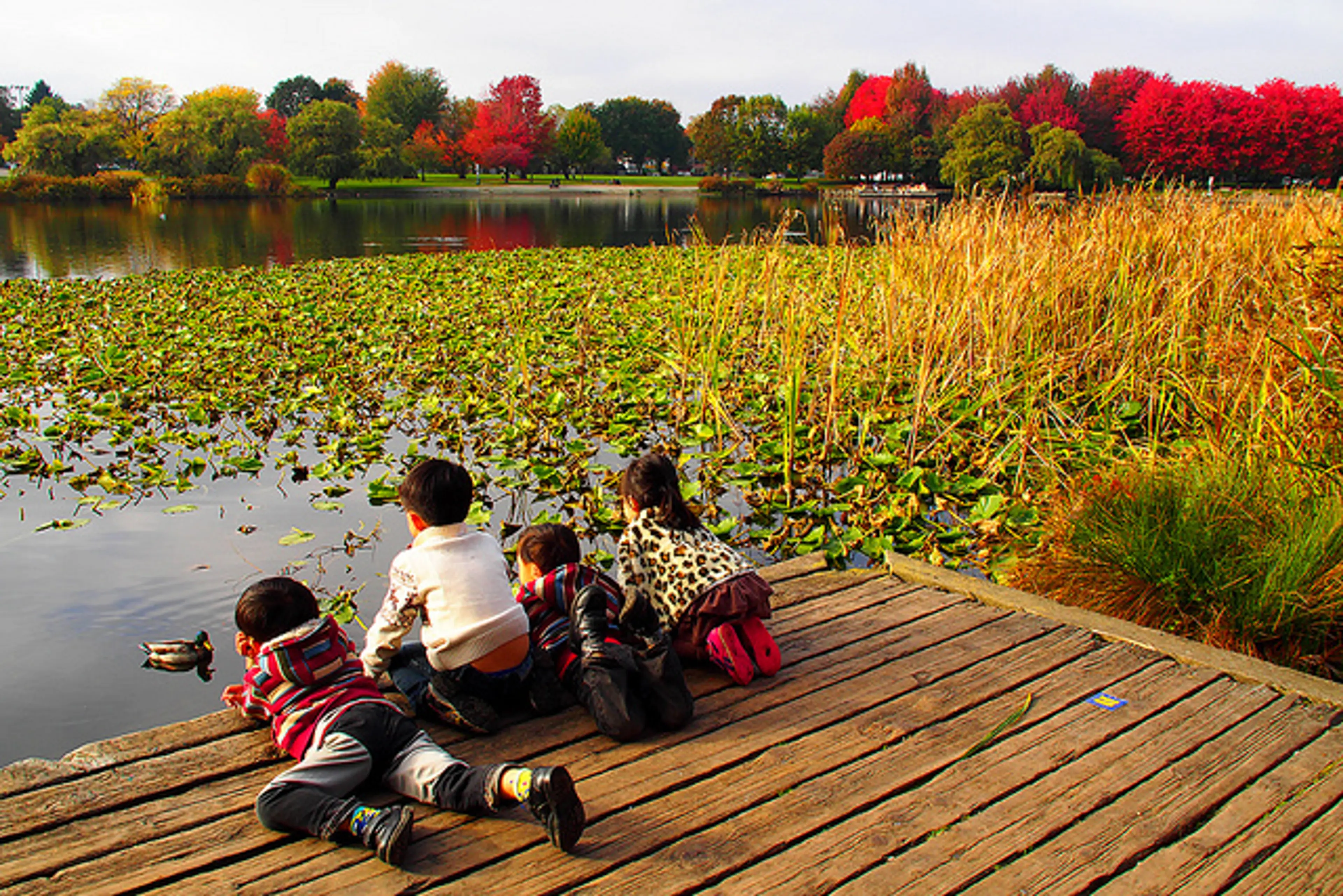 5 things to do with bored kids this spring break in Vancouver