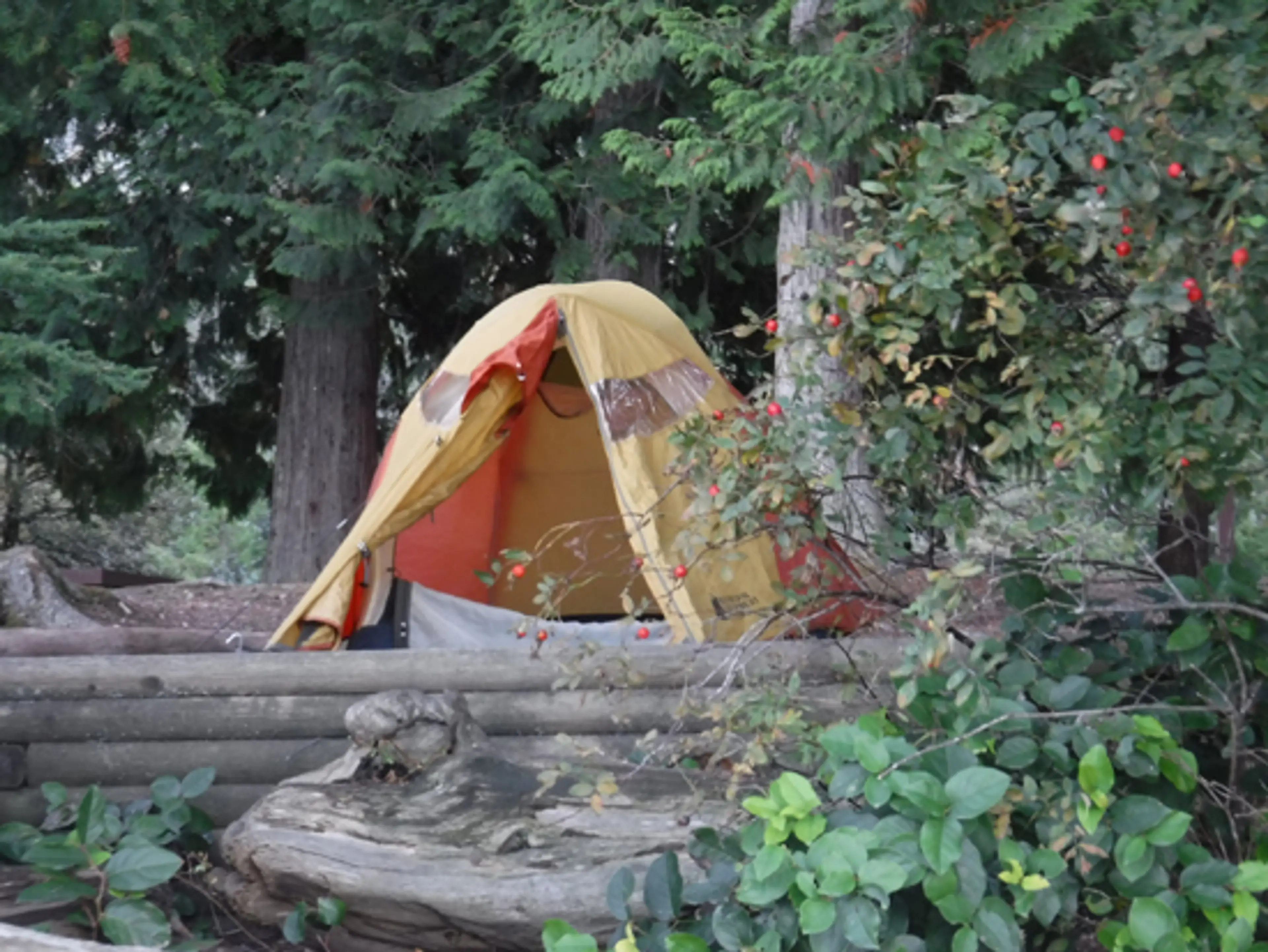 porteau-cove-discover-the-outdoors1