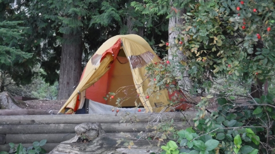 porteau-cove-discover-the-outdoors1