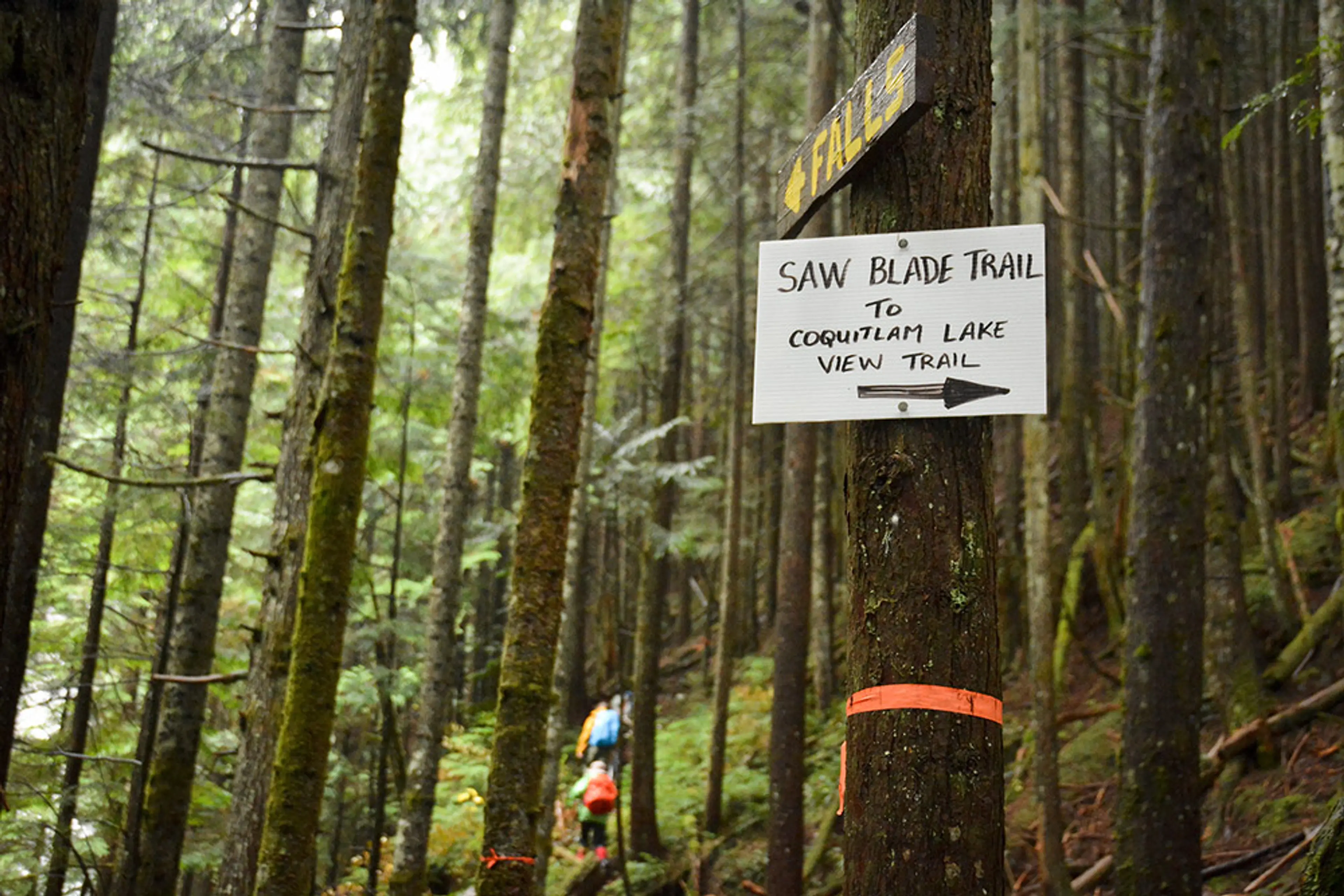 4 Short & Sweet Hikes for Spring Near Vancouver