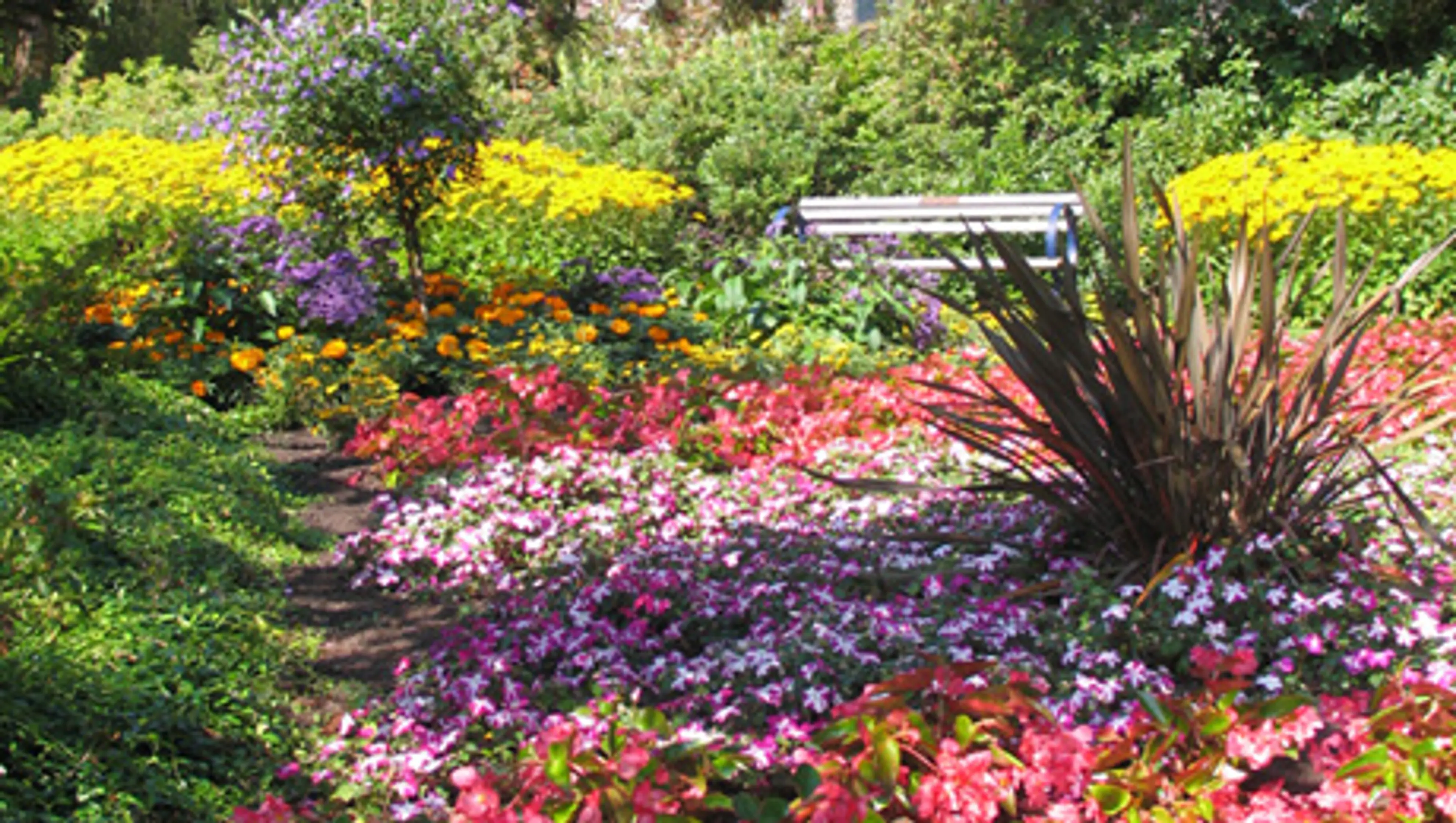 Flowers in Century Gardens in Deer Lake Park, Burnaby