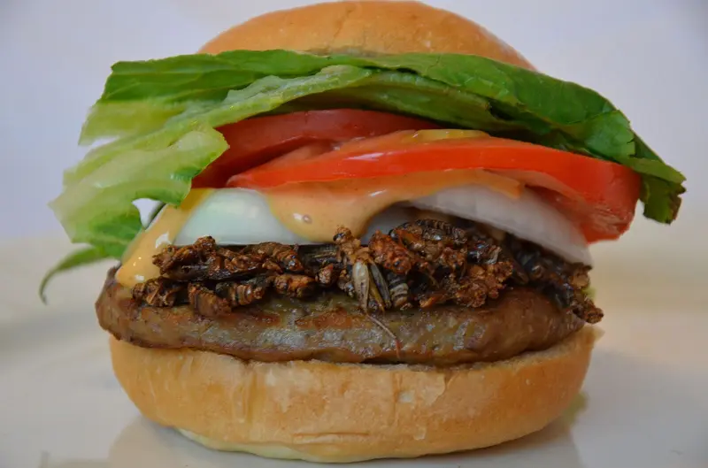 weird food at the PNE 2017