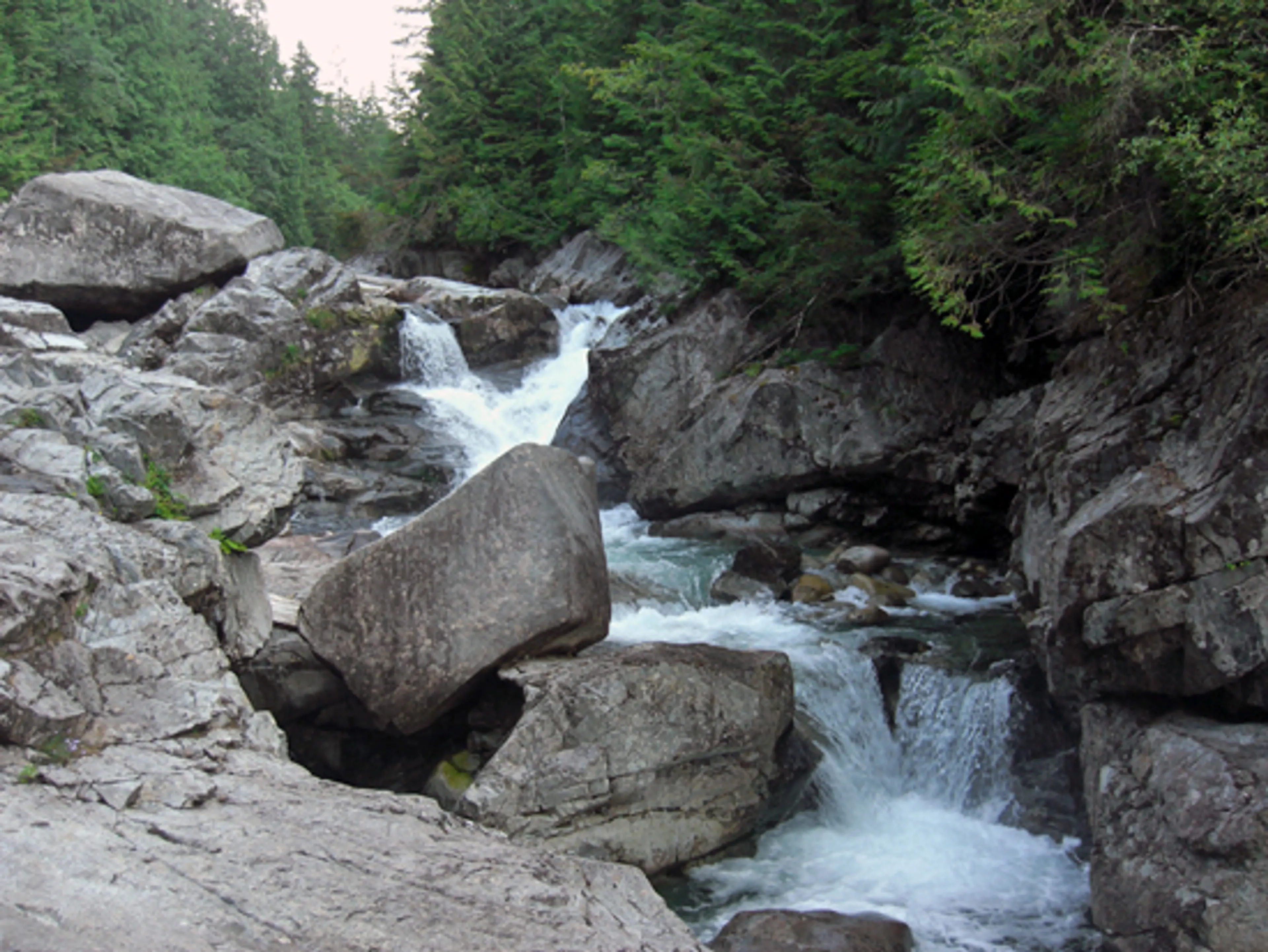 Discover Outdoors Widgeon Creek8