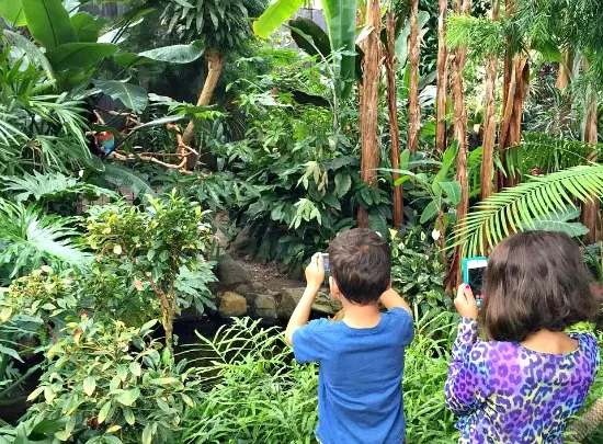 Bloedel Conservatory | Photo: Bianca Bujan