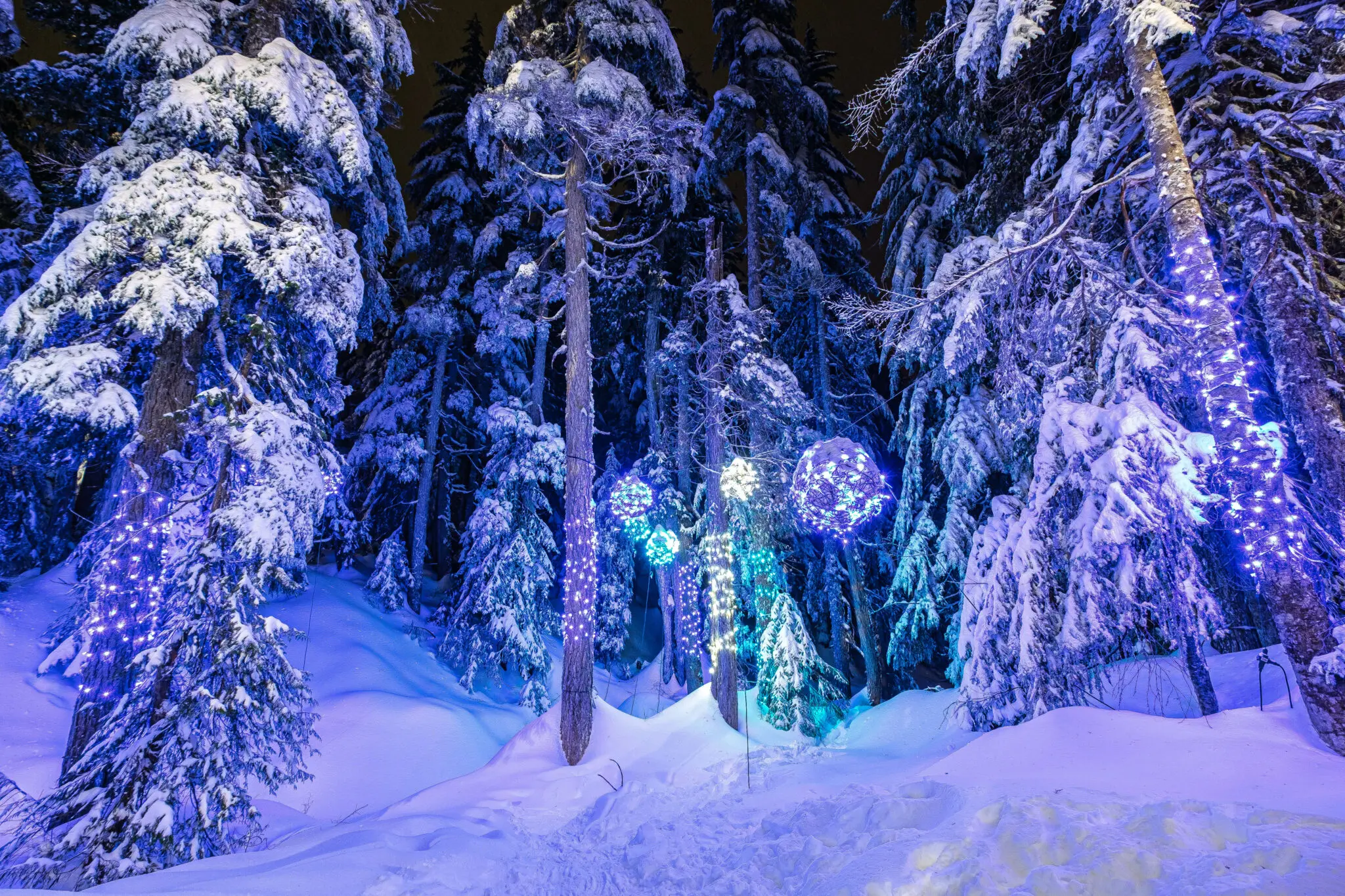 Lights to the Lodge at Cypress Mountain