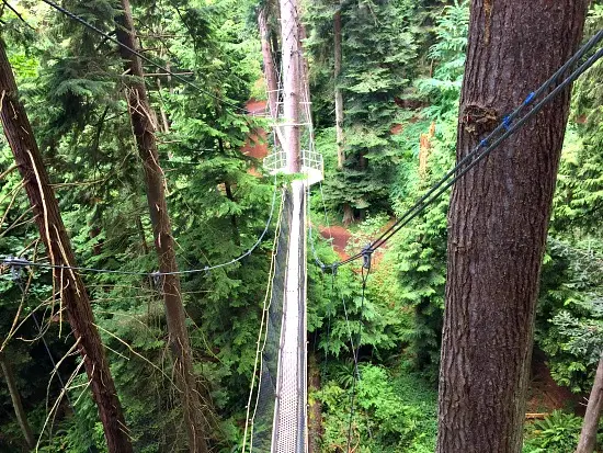 Greenheart TreeWalk | Photo: Bianca Bujan