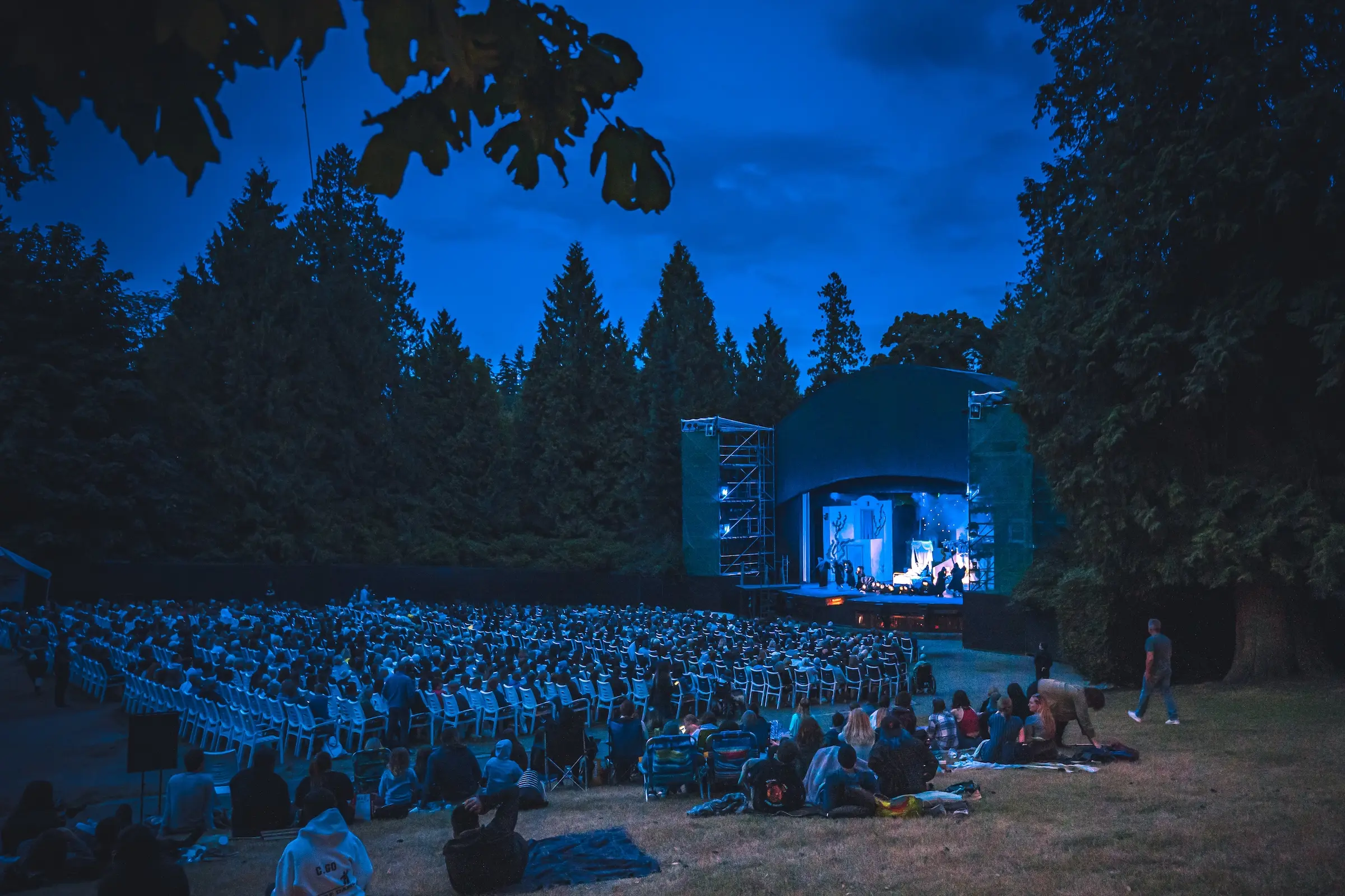 Theatre Under the Stars Celebrates Musicals at the Malkin Bowl This Summer