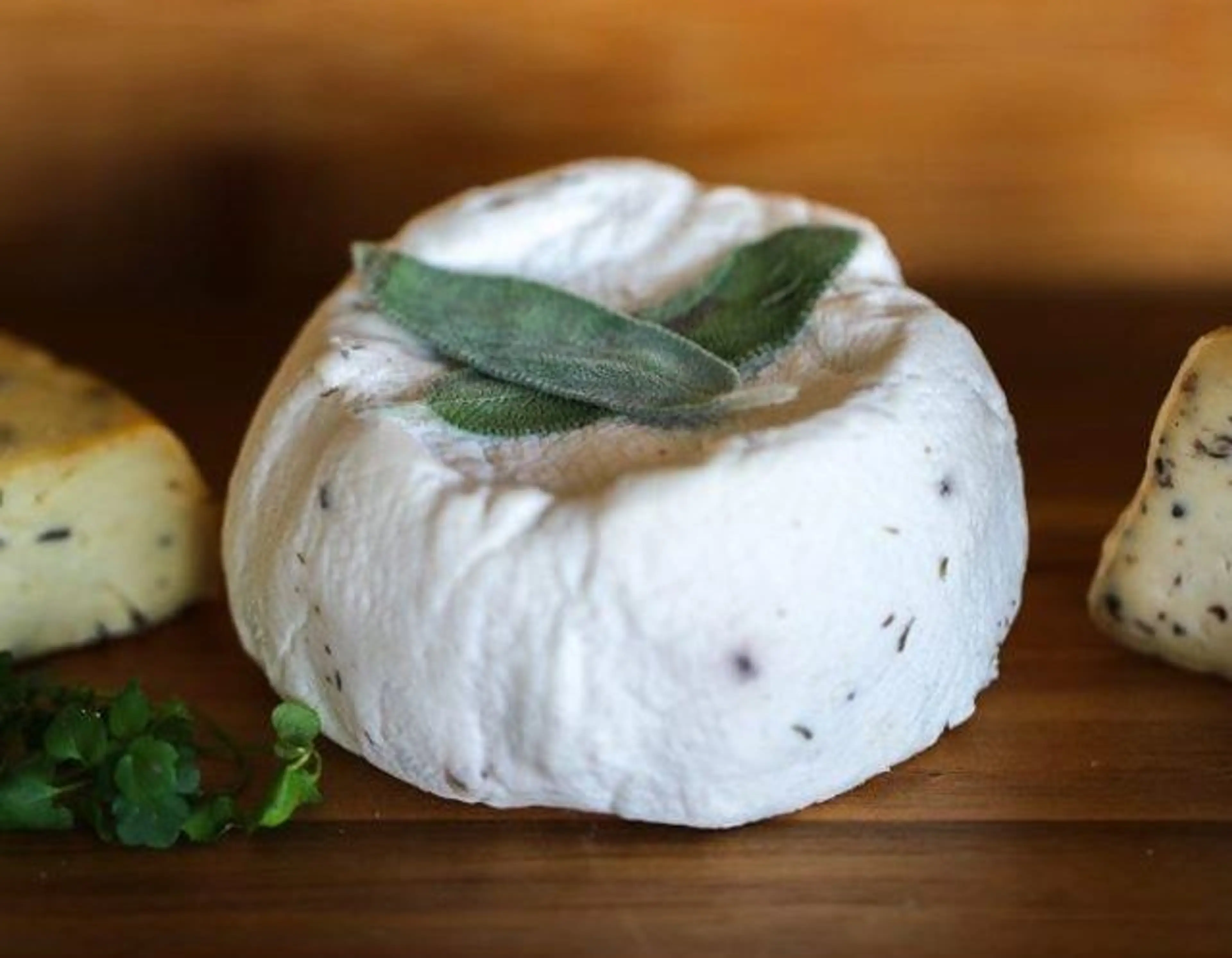 vegan cheesemaking