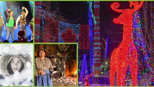 Things to Do in Vancouver this Weekend: Dec. 22, 2016