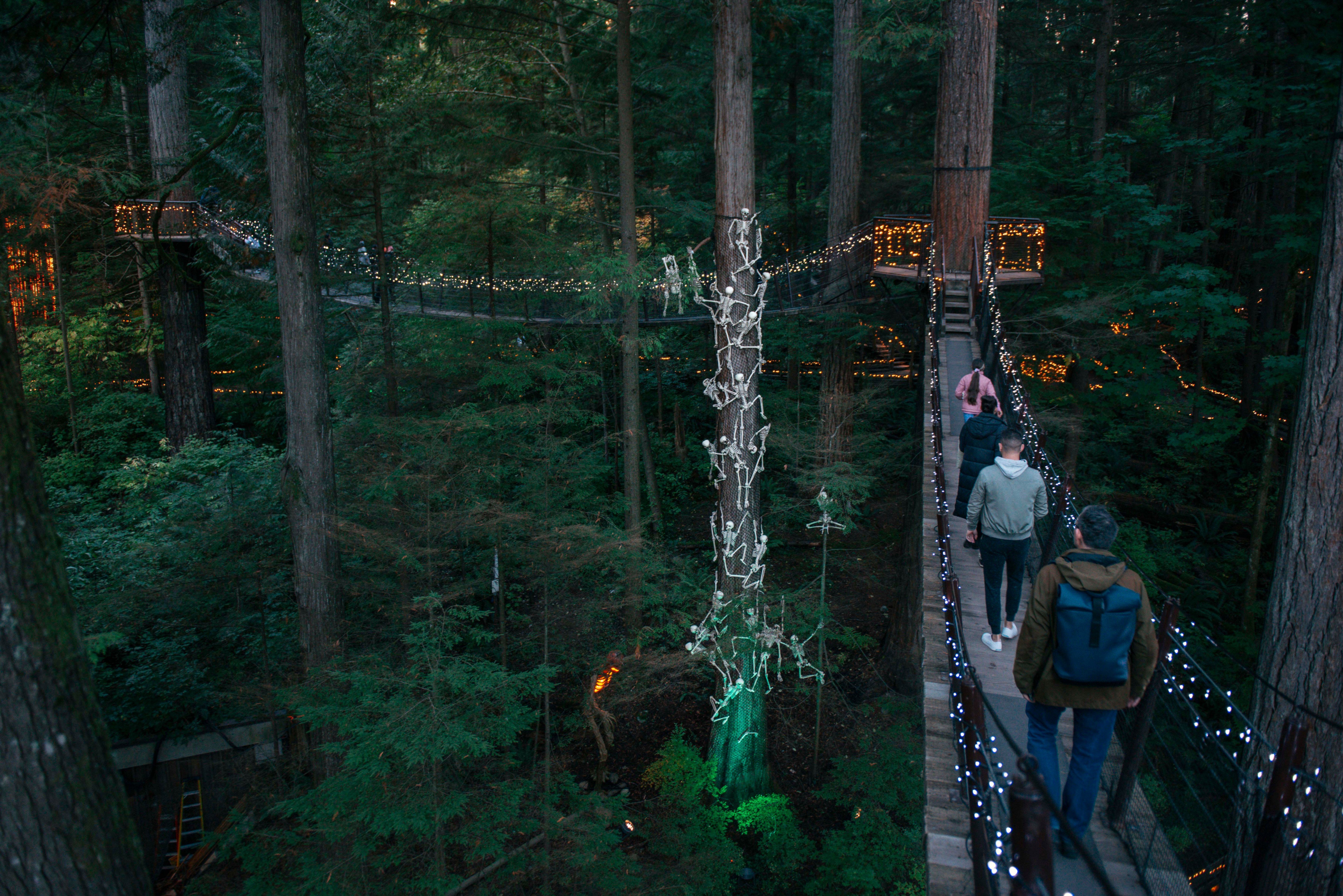 Four people walking on a lit suspension bridge in a dense forest with trees decorated with string lights.