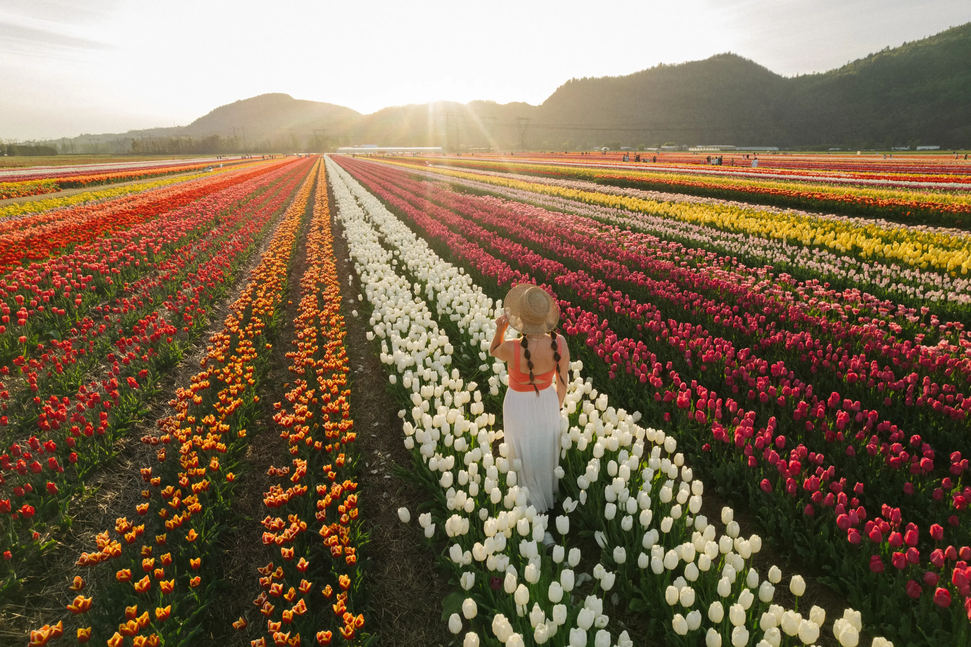 A woman stans in a field of tulips at the Abbotsford Tulip Festival.