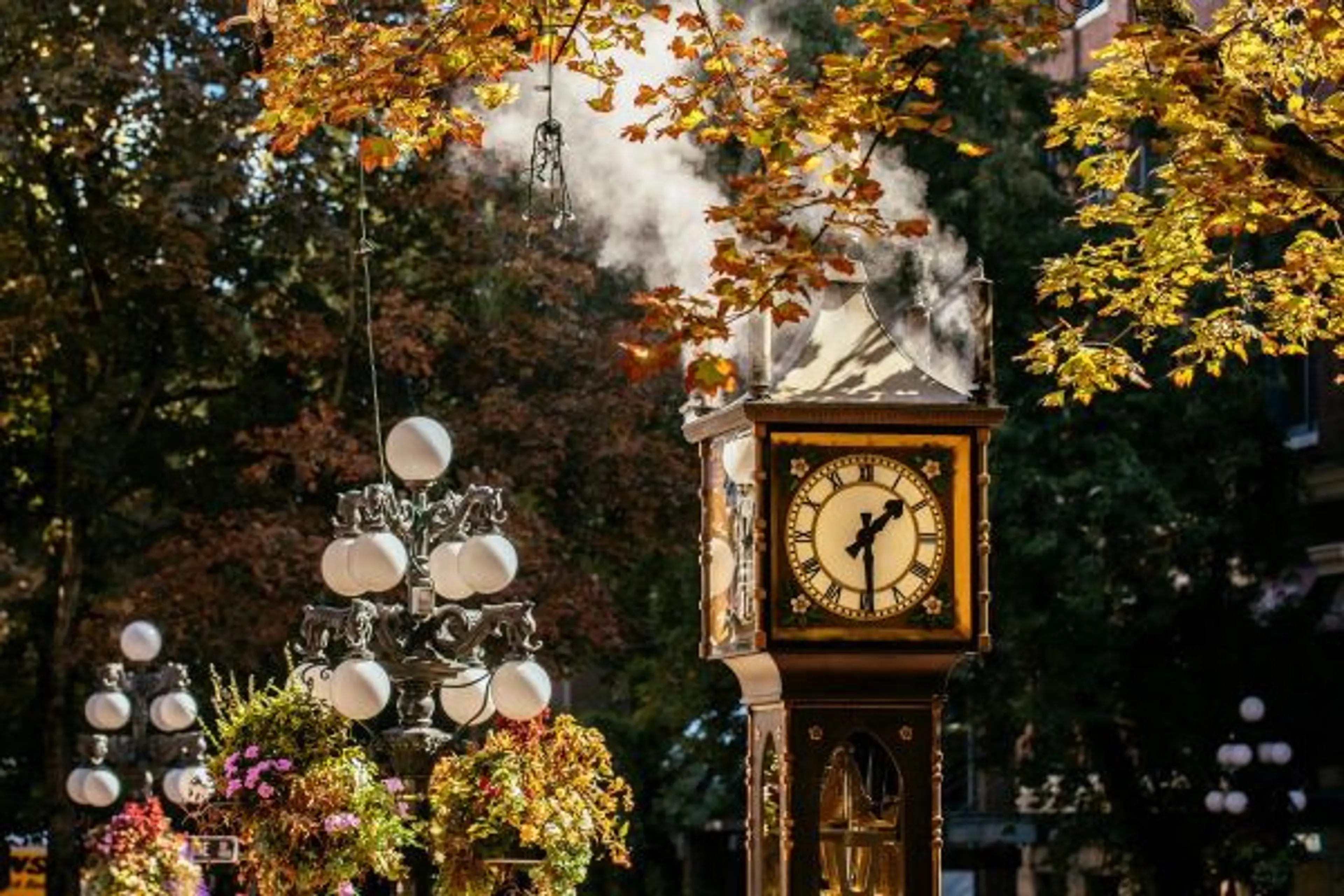 Neighbourhood Watch: Gastown
