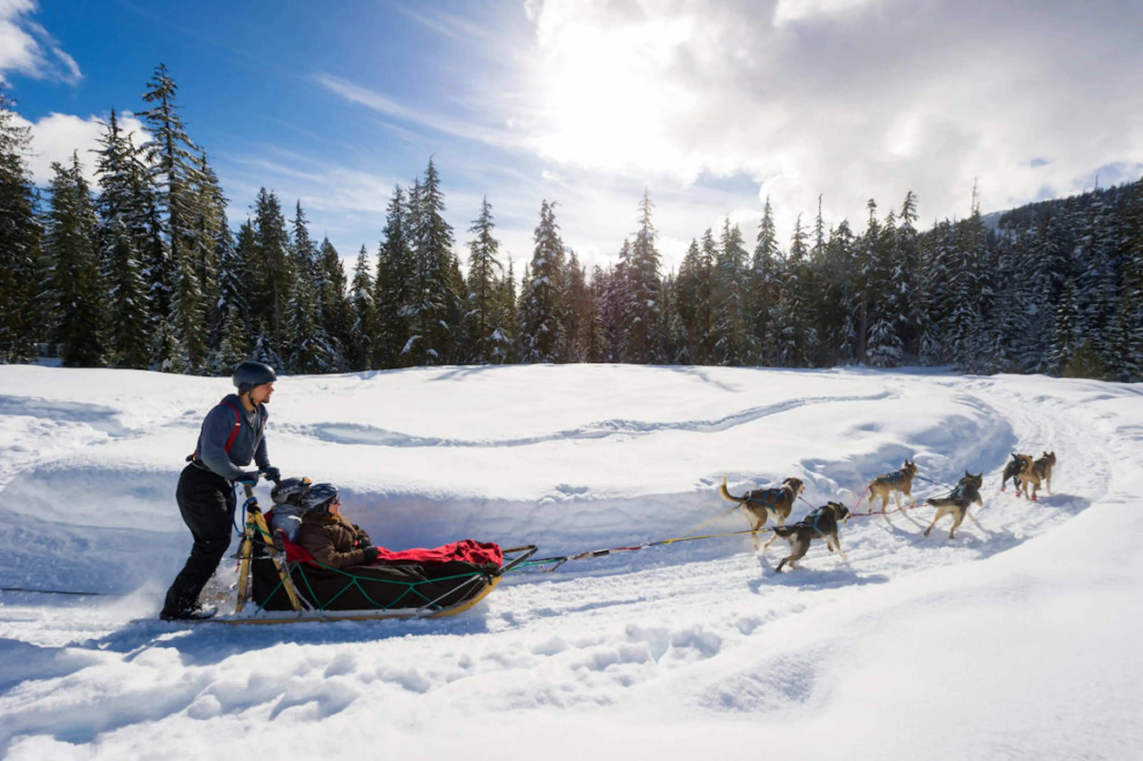 Dogsledding in the Callaghan Valley near Whistler