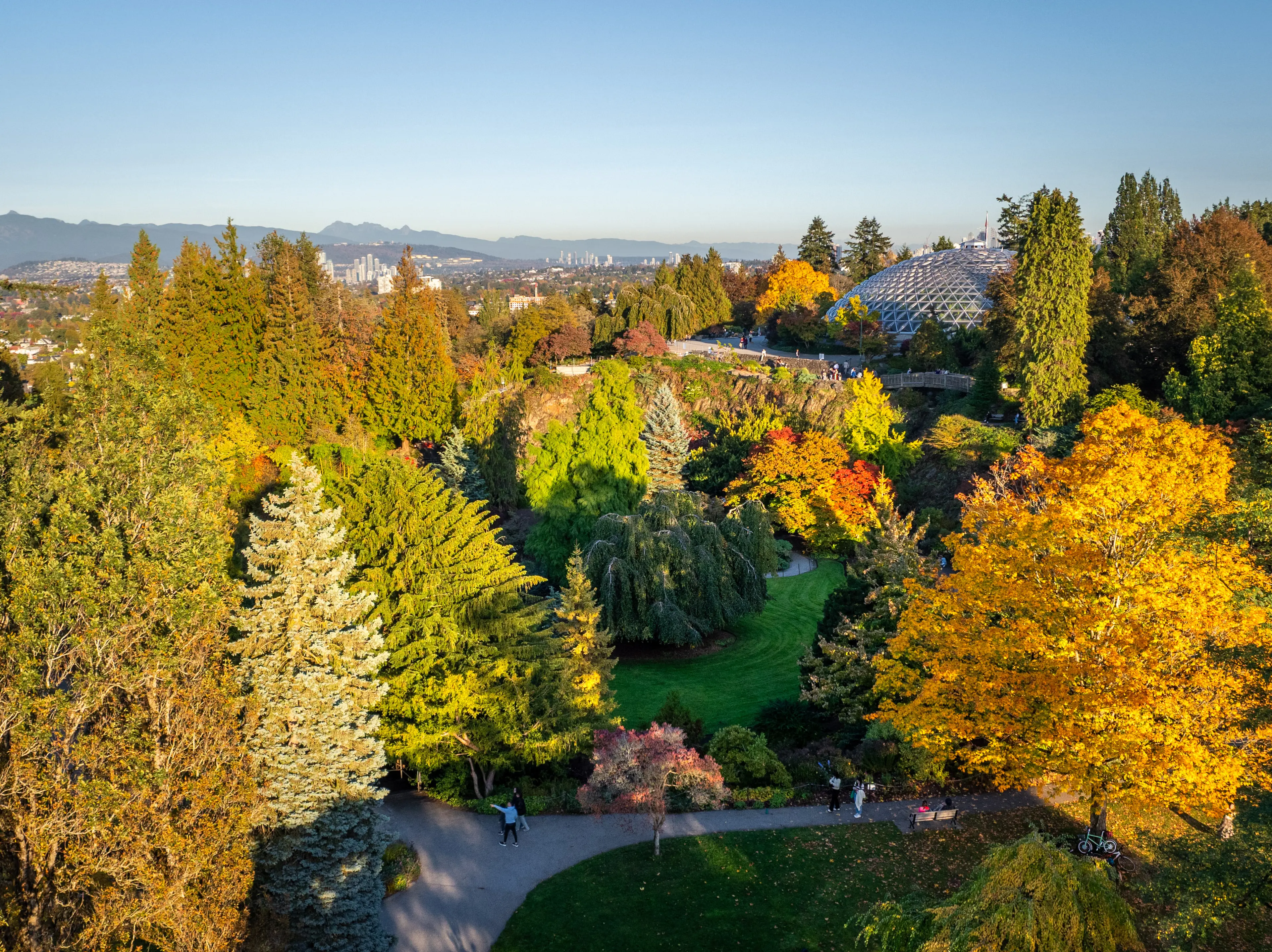 Vancouver's Queen Elizabeth Park in the fall leaves in autumn colours.