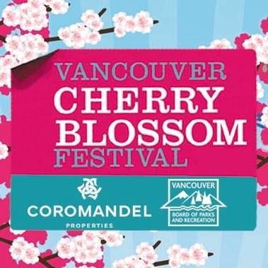 cherry-blossom-festival-eba3ad8b5056b3a_eba3ae60-5056-b3a8-490f0c93c743d574