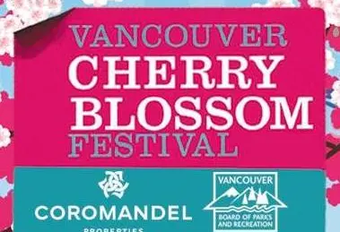 cherry-blossom-festival-eba3ad8b5056b3a_eba3ae60-5056-b3a8-490f0c93c743d574