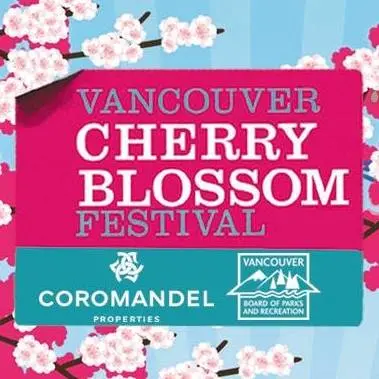 cherry-blossom-festival-eba3ad8b5056b3a_eba3ae60-5056-b3a8-490f0c93c743d574